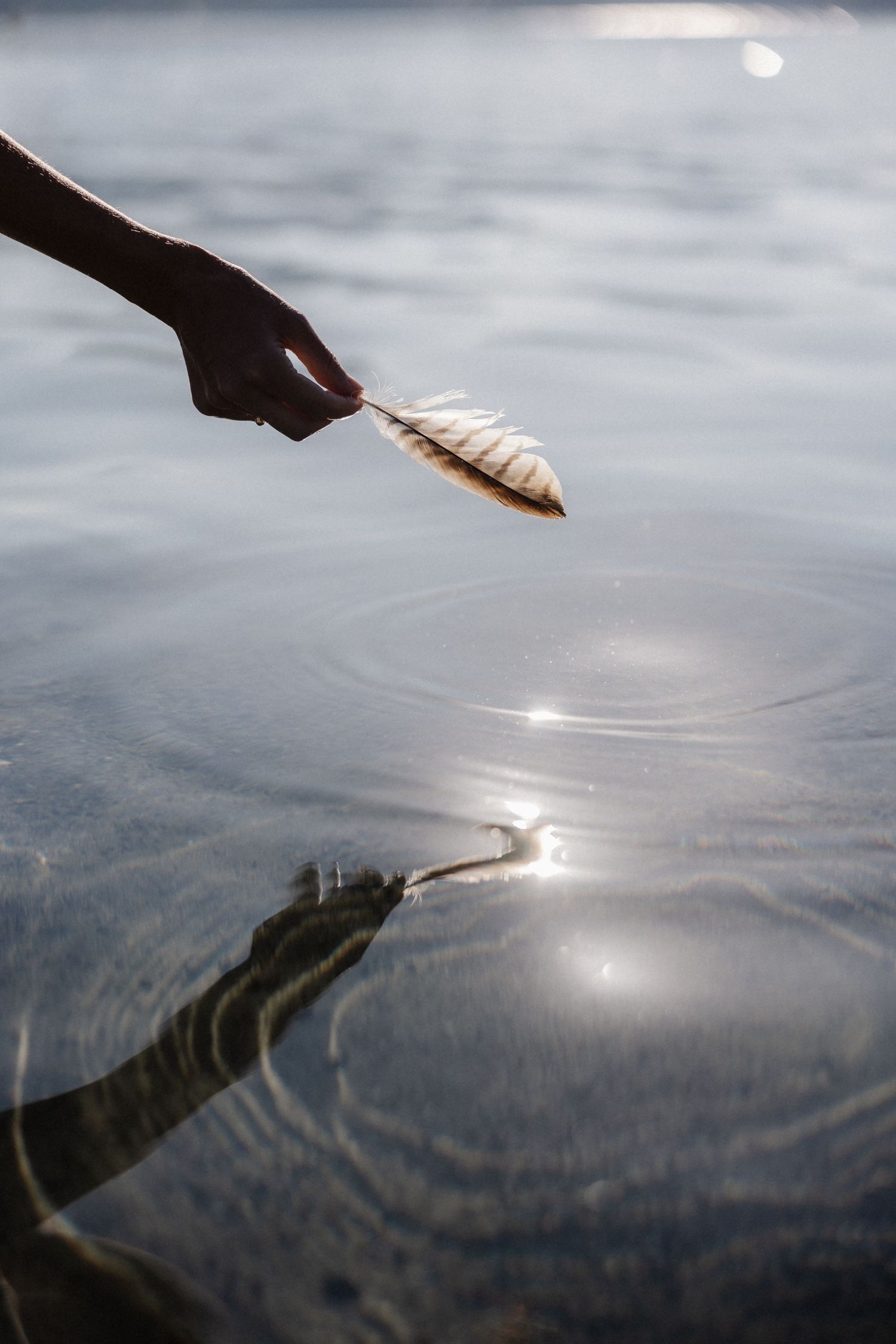 Hand holding a striped feather touching calm water surface creating ripples with bright sun reflection below.