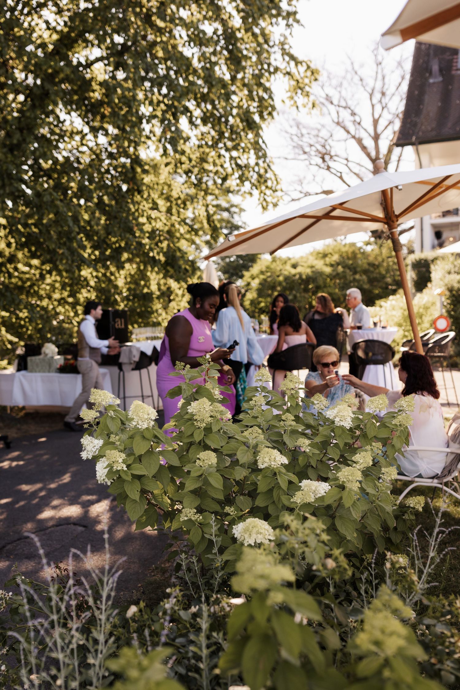 Wedding guests mingling in a sunlit garden with white hydrangeas in foreground and large umbrella overhead.
