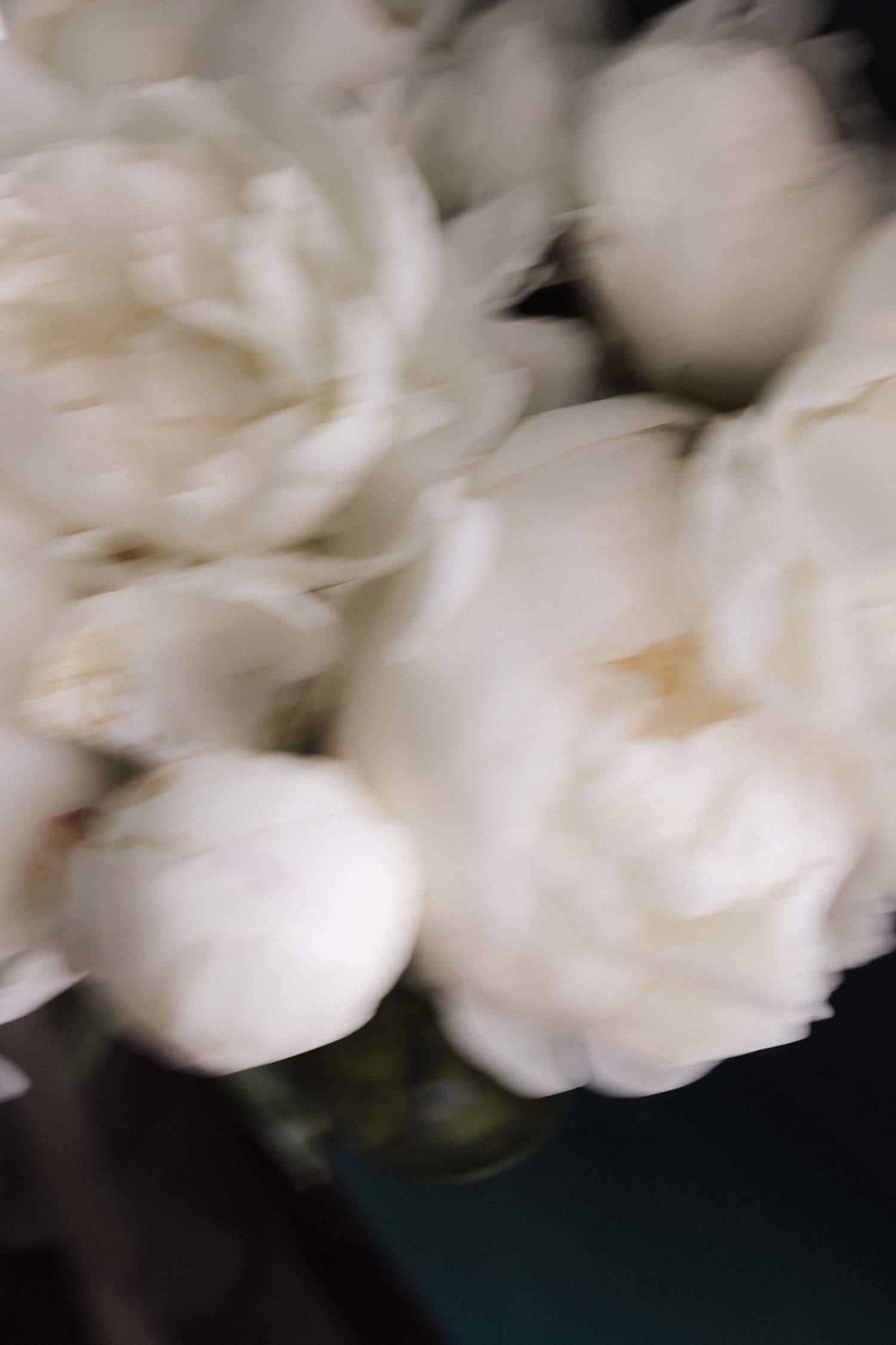 Blurred close-up of white peony flowers creating a soft, dreamy effect.
