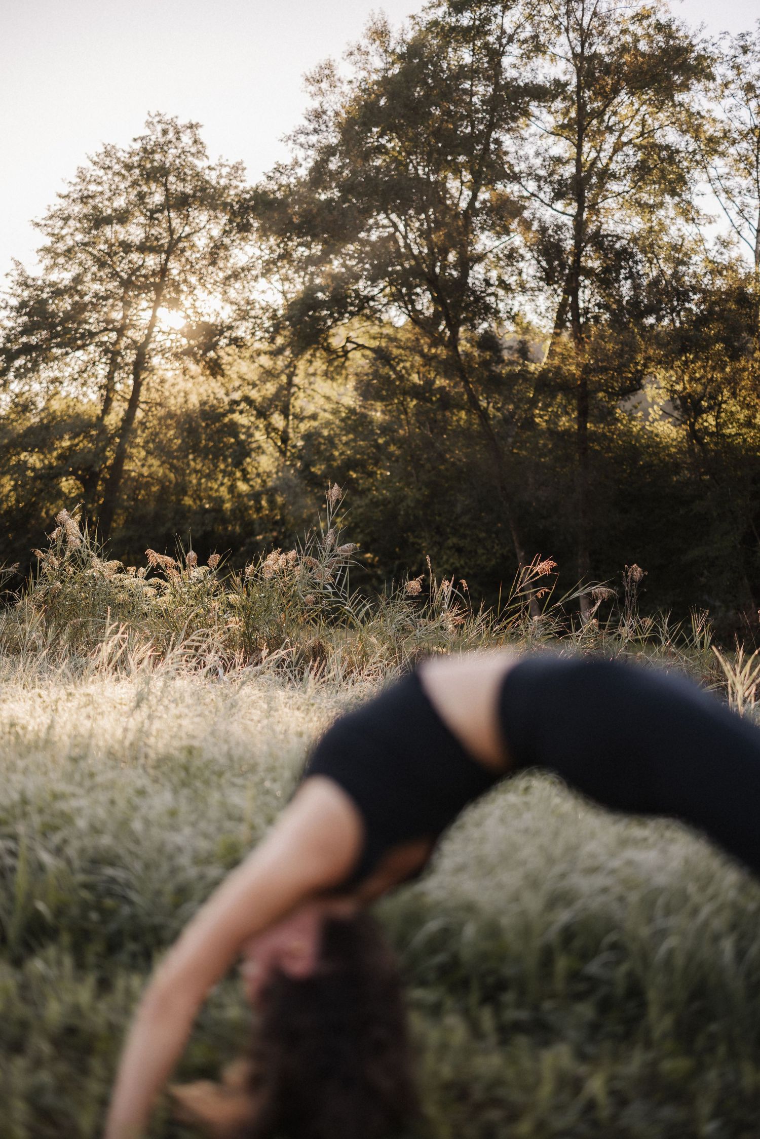 Woman in black performs a backbend yoga pose in a sunlit meadow with tall grass and trees in background.