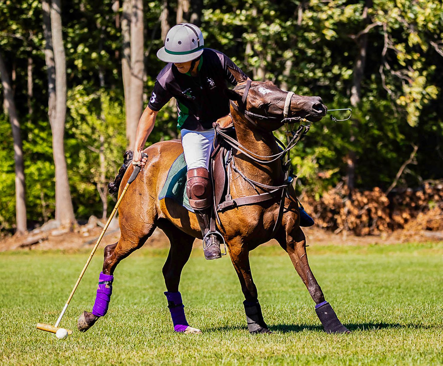 A polo player in a purple jersey rides a brown horse while swinging a mallet during a sunny outdoor match.