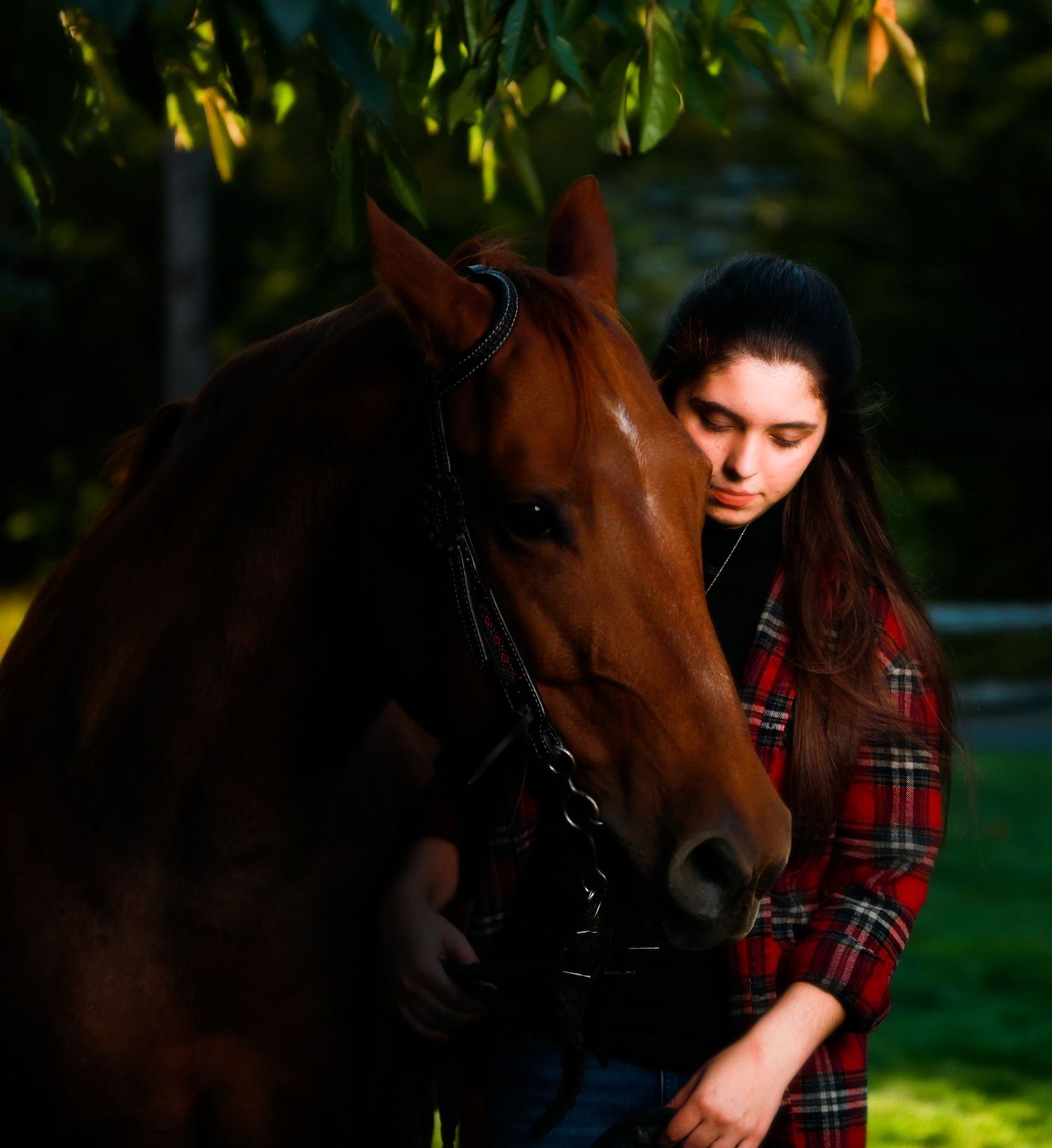 Young woman in plaid shirt shares tender moment with chestnut horse in outdoor portrait.