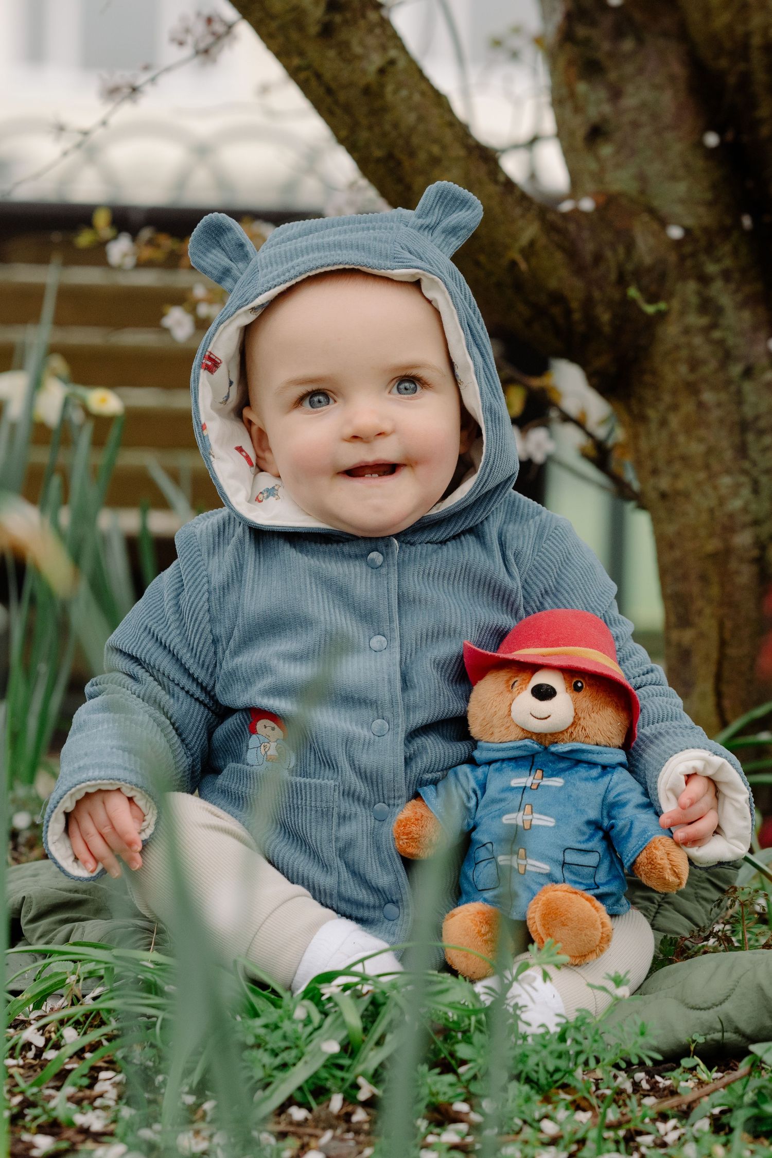 Baby in bear-eared blue hoodie sits outdoors holding Paddington Bear stuffed toy, smiling among spring flowers in baby portrait, Eastbourne.