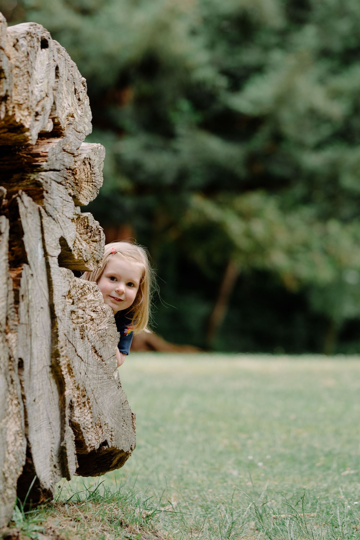 Young girl with blonde hair peeking out from behind a large weathered log stack in family portrait session Hampden Park, Eastbourne, Sussex.