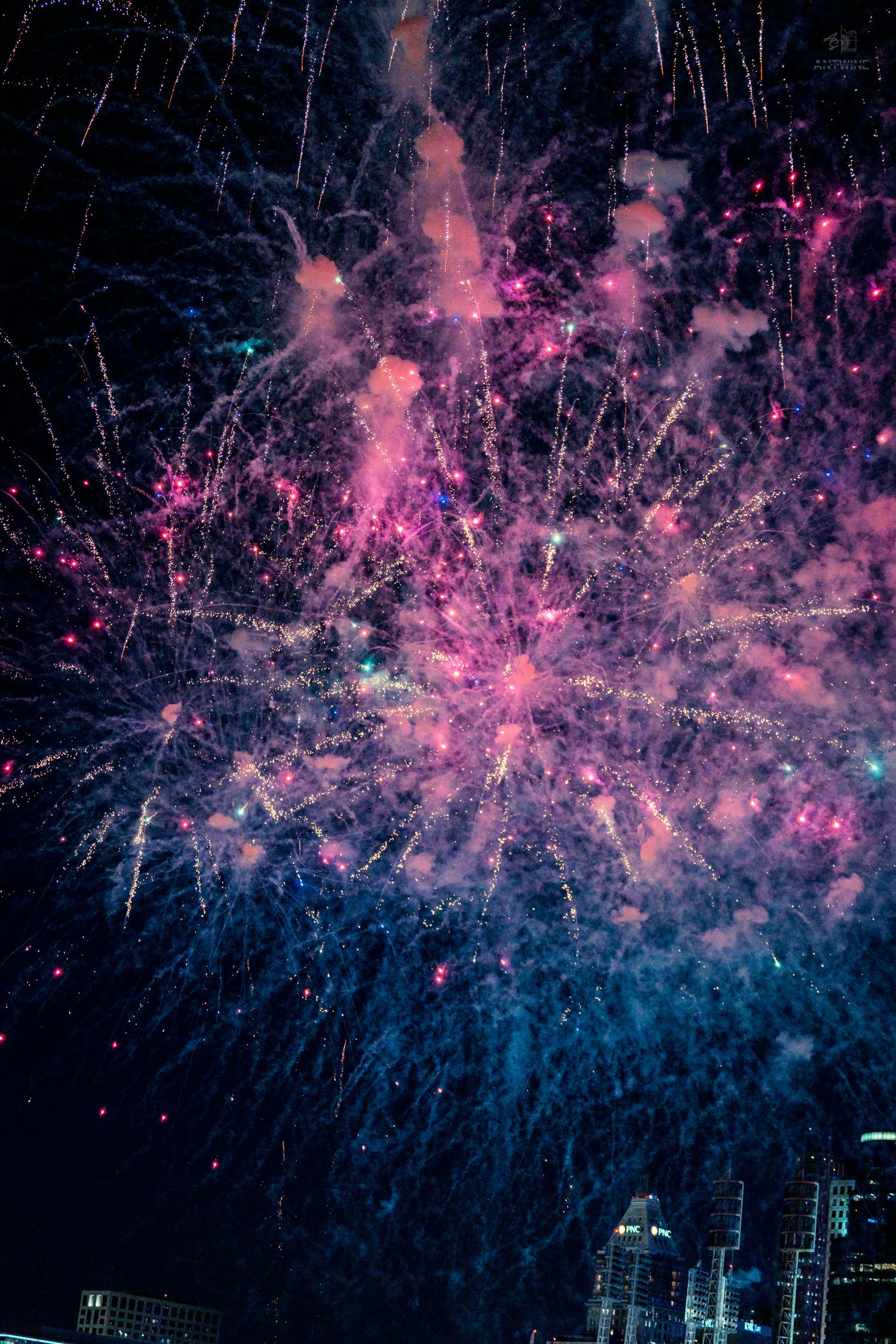 Colorful pink and purple fireworks bursting over a city skyline at night.
