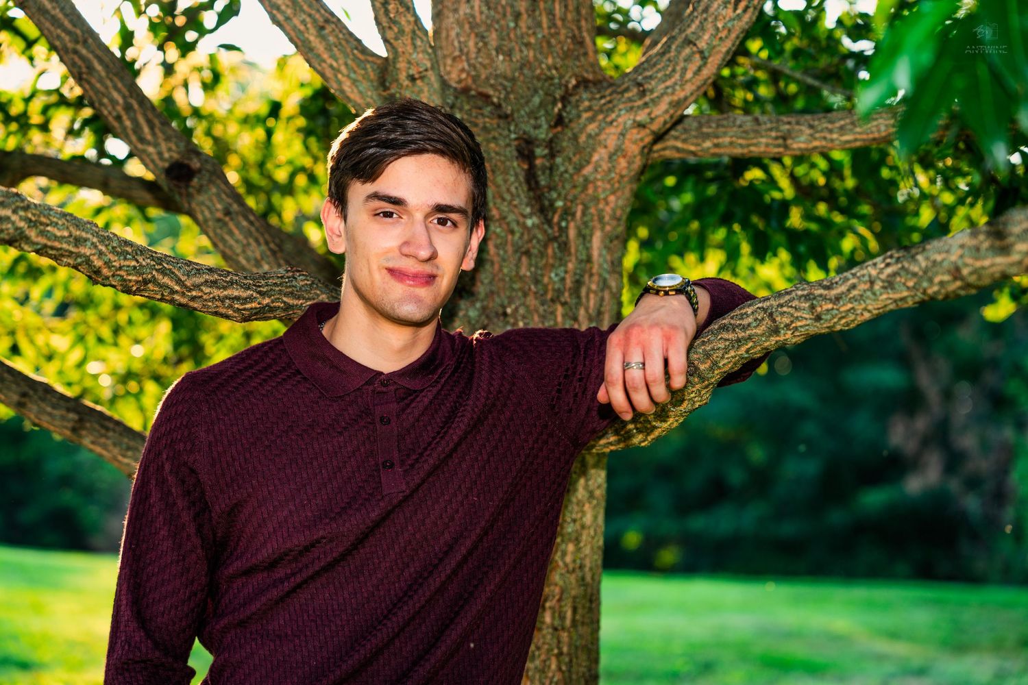 Young man in burgundy shirt leaning against a tree in a lush green park, ideal for senior portrait photography.