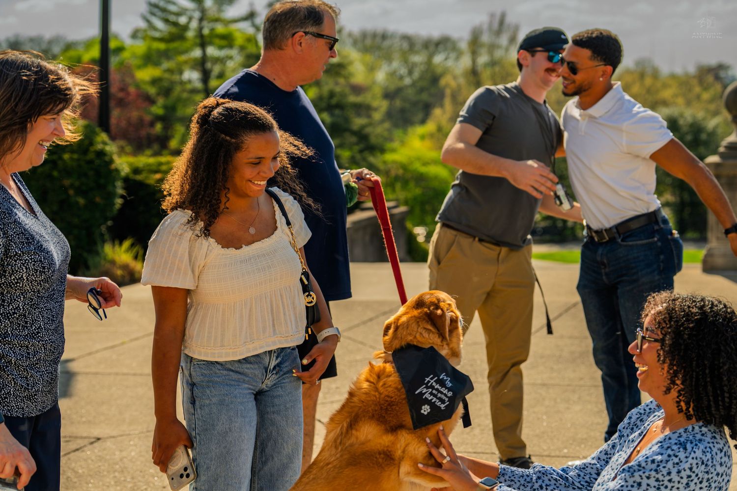 Group of people gathered outdoors smiling at a golden dog wearing a bandana on a sunny day.
