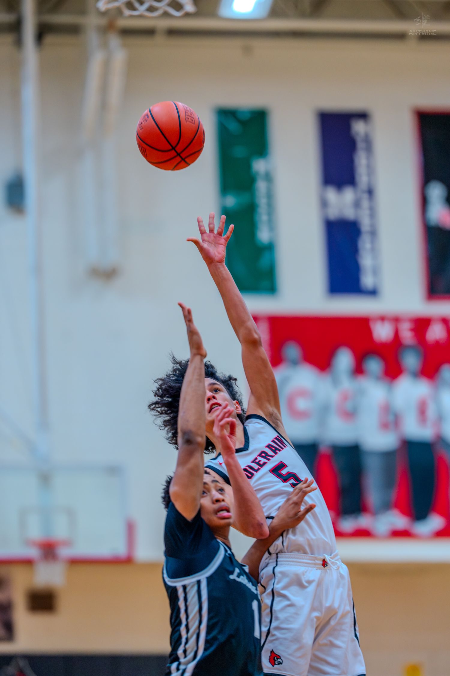 Colerain #5 reaches for a jump ball against an opponent during a high school basketball game.