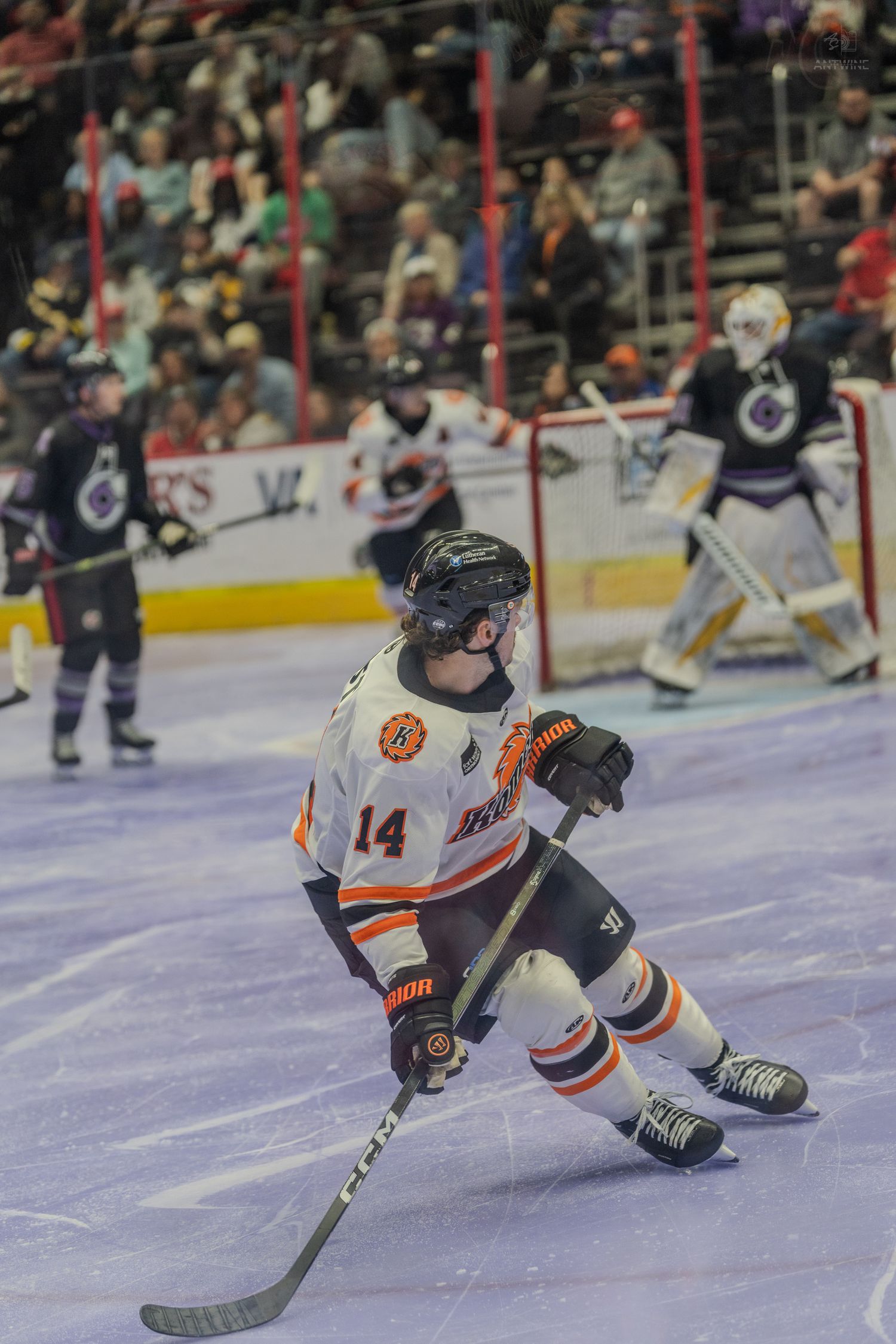 Fort Wayne Komets player #14 skating with the puck during a professional hockey game.