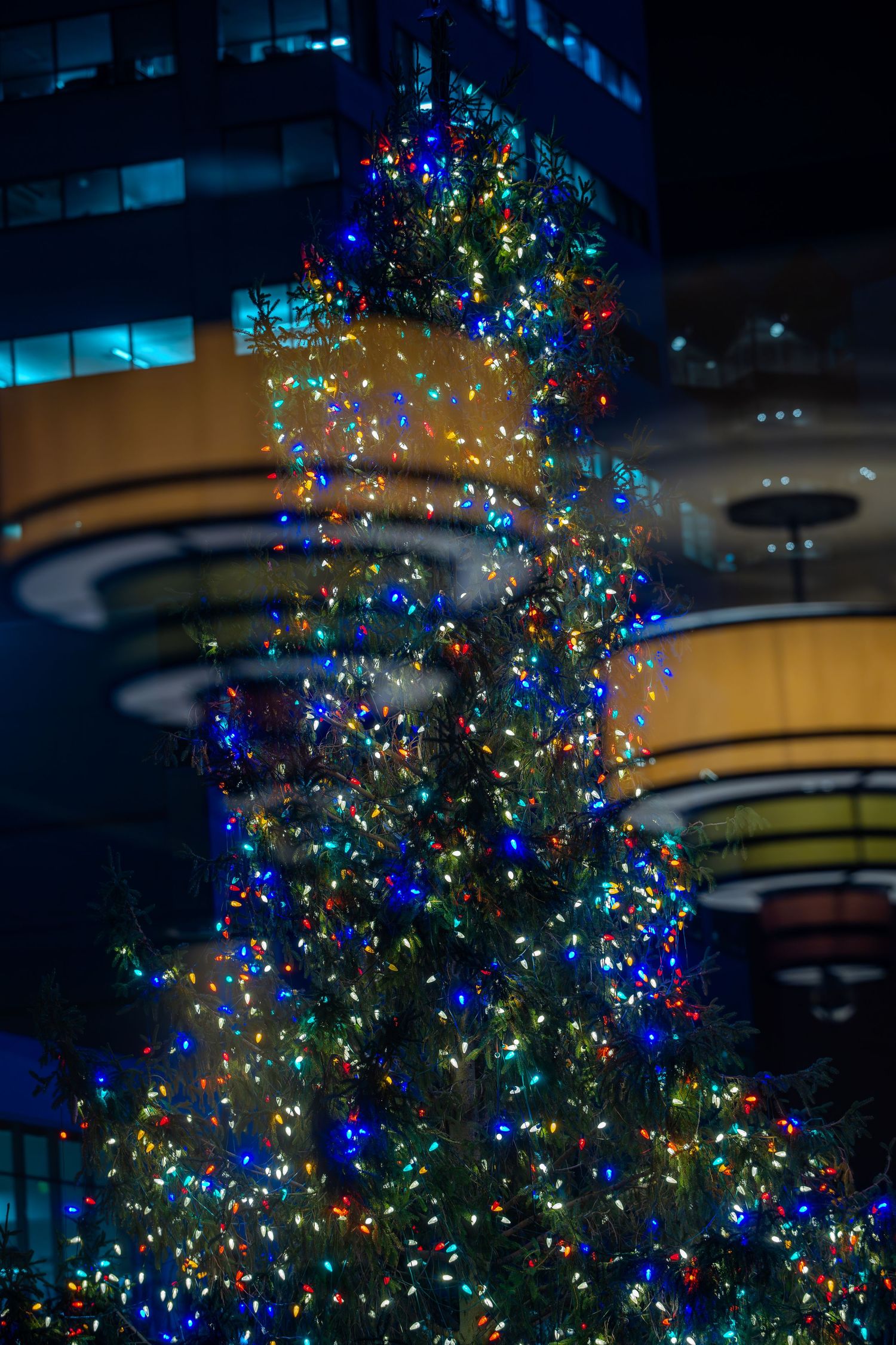 Tall outdoor Christmas tree adorned with colorful lights at night with illuminated building in background.