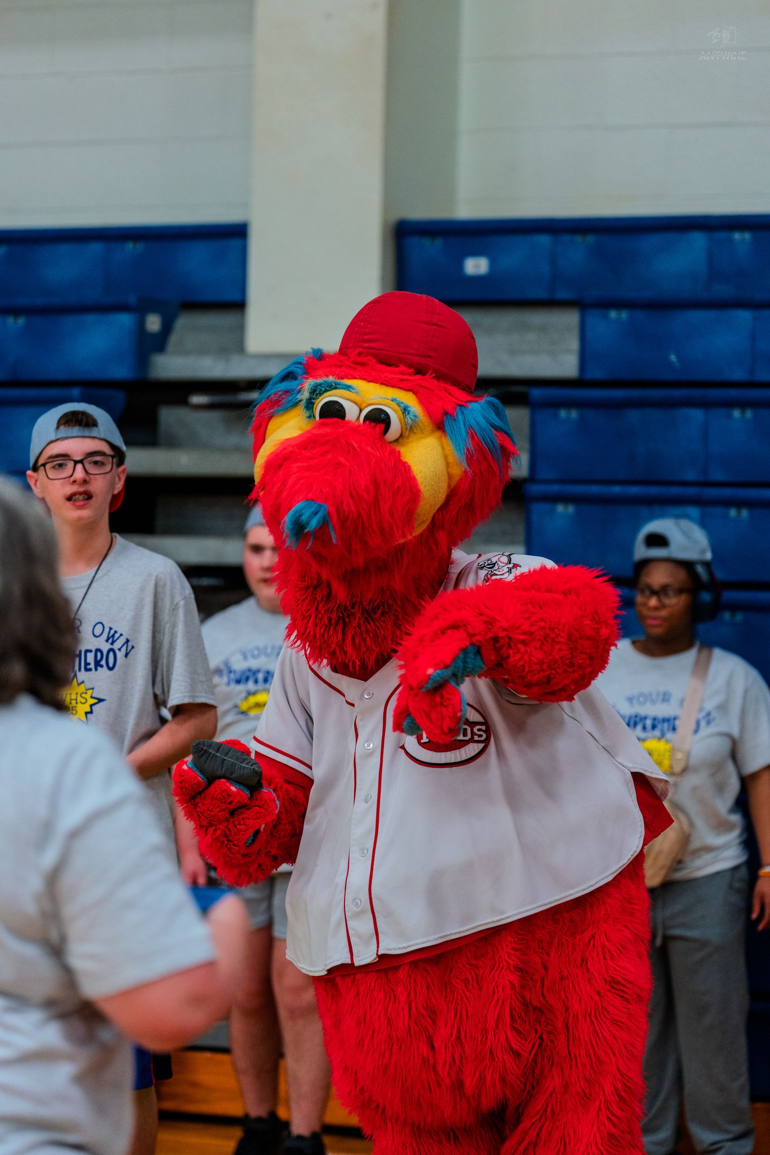 Red furry baseball mascot interacts with kids in a gym during a school event, wearing a white jersey and red cap.