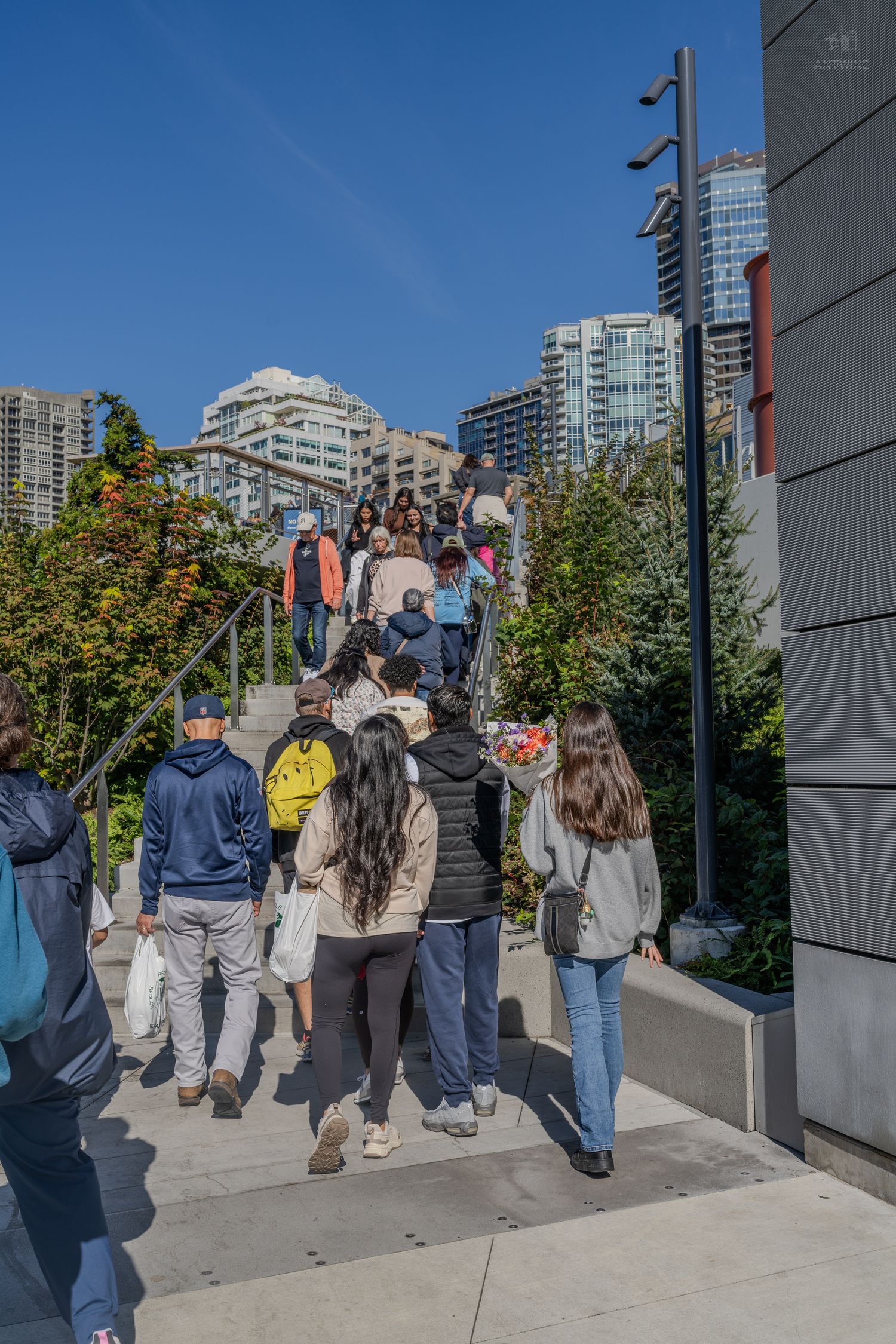 Crowd of people walking up outdoor stairs near modern city buildings on a clear day.