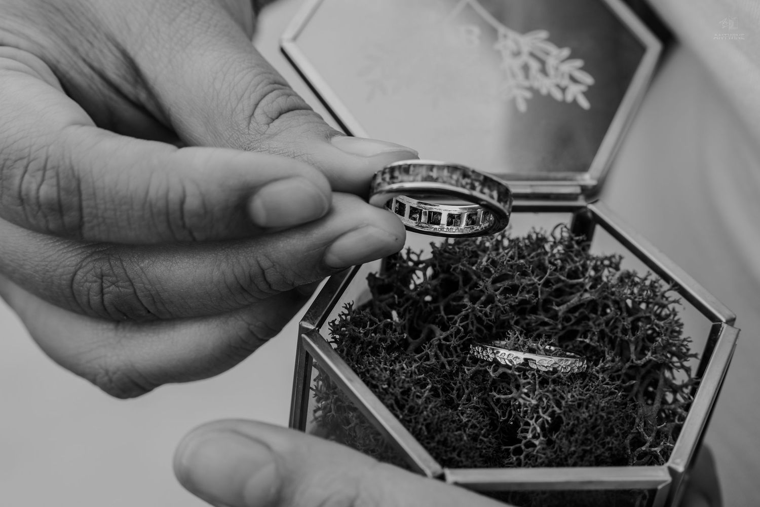 Black and white photo of hands holding a wedding band over a hexagonal glass ring box with moss.