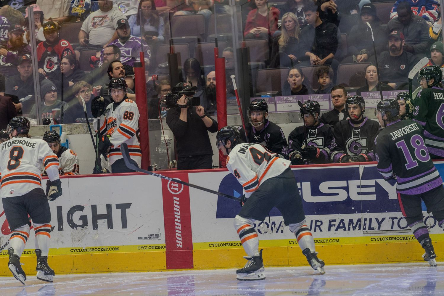 Ice hockey players in orange and purple jerseys face off near boards during indoor professional hockey game.