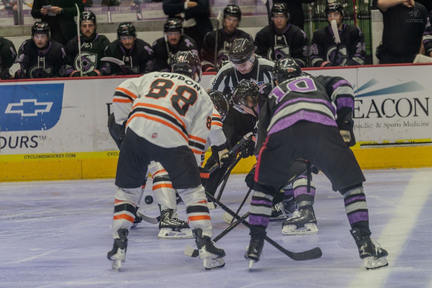 Players face off at center ice during a professional hockey game.
