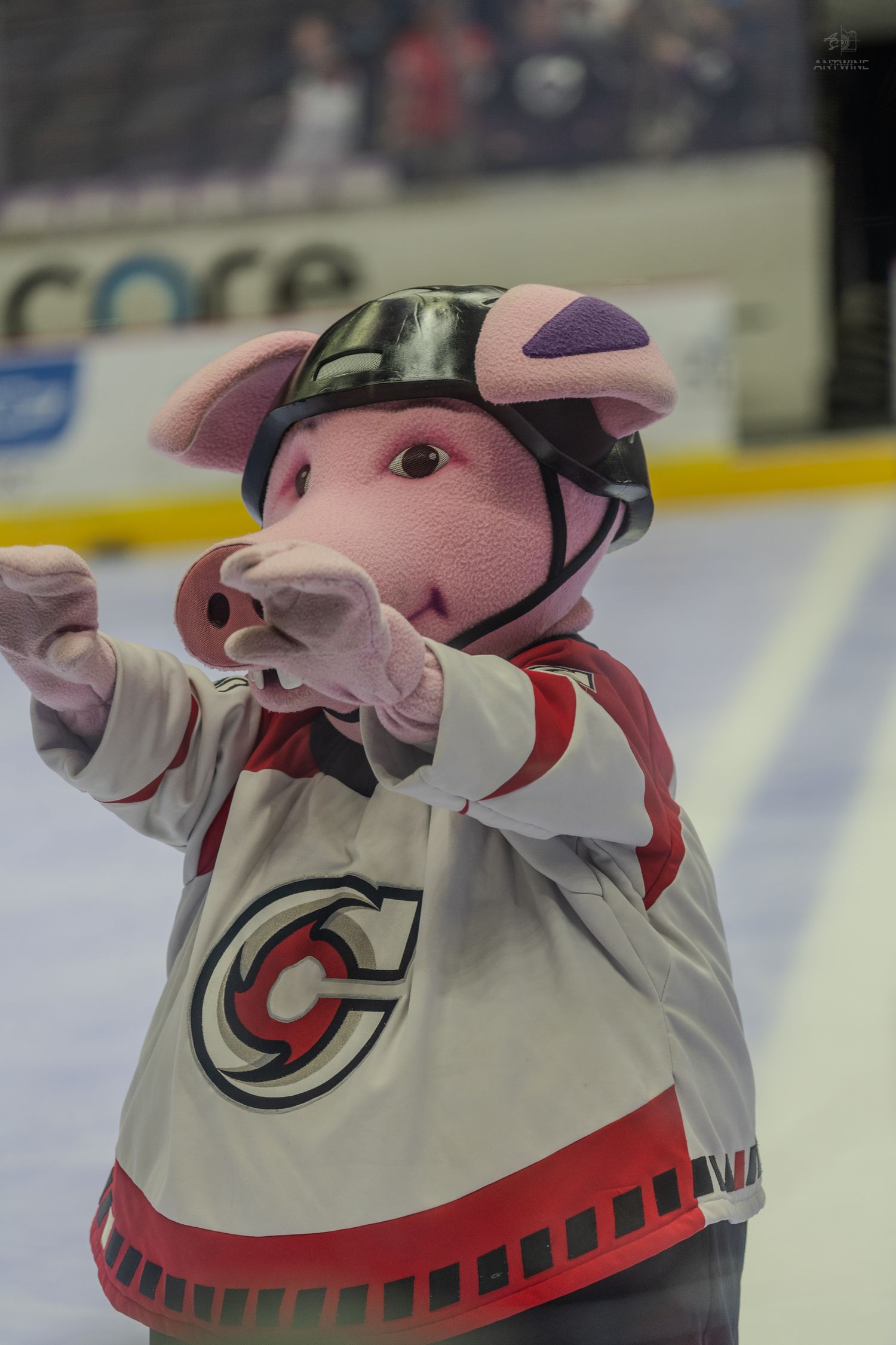 A pig mascot in a hockey jersey and helmet points fingers on an ice rink during a game.