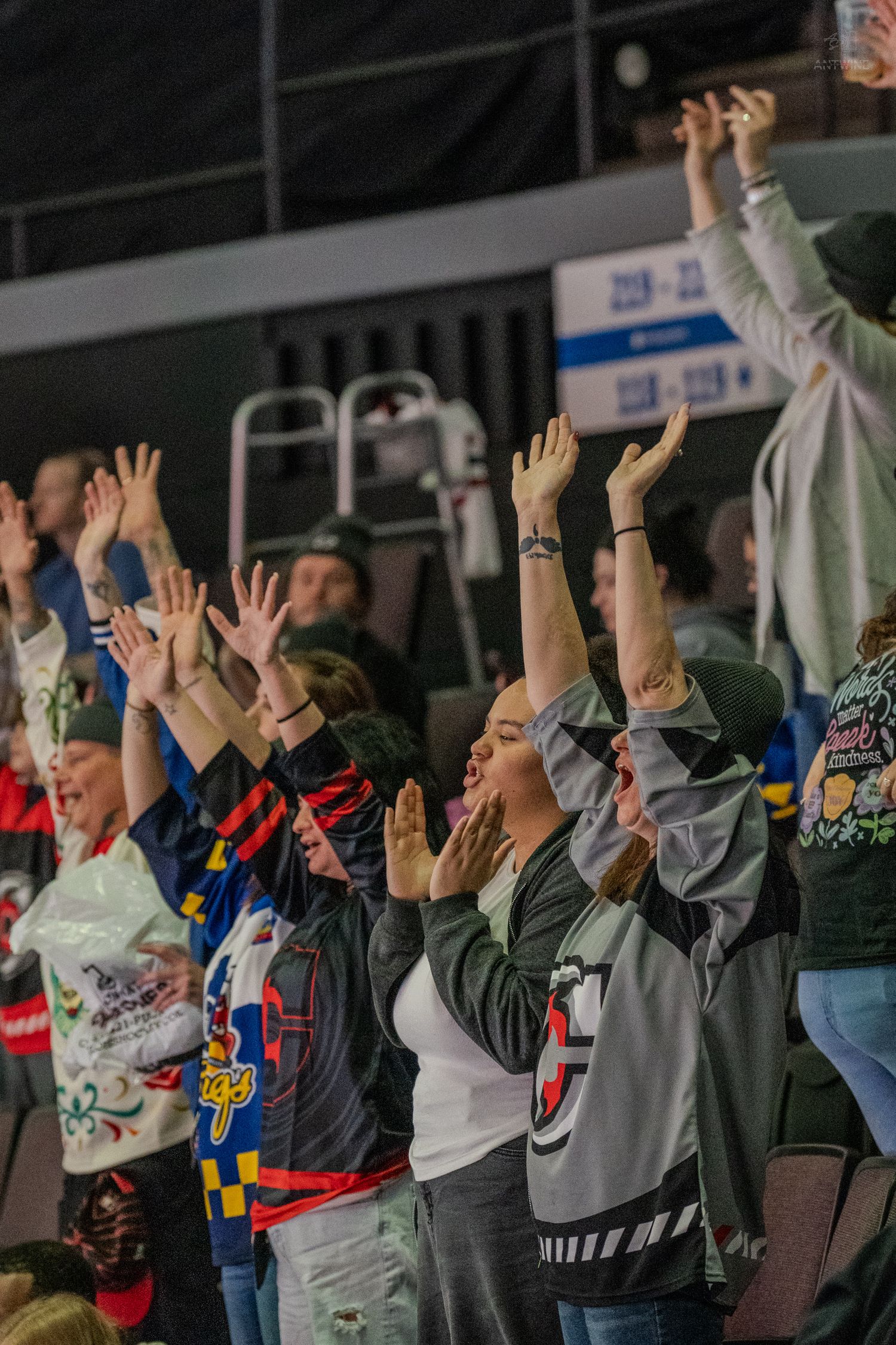 Excited hockey fans cheering with hands raised at an indoor arena game.
