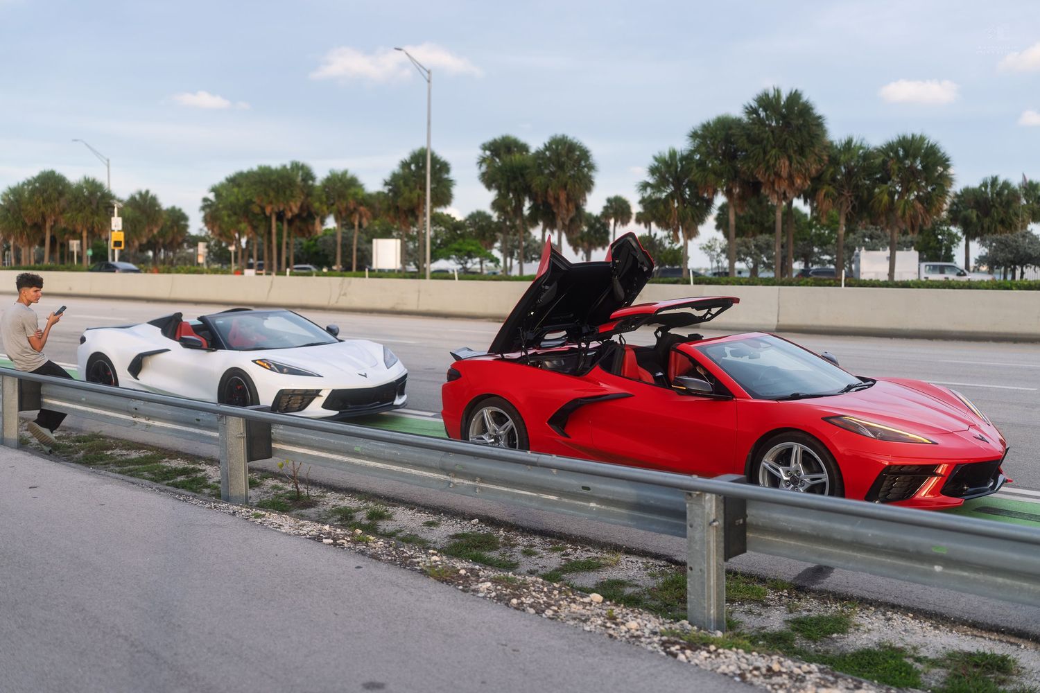 White and red Chevrolet Corvette C8 convertibles parked roadside near palm trees on a sunny day.