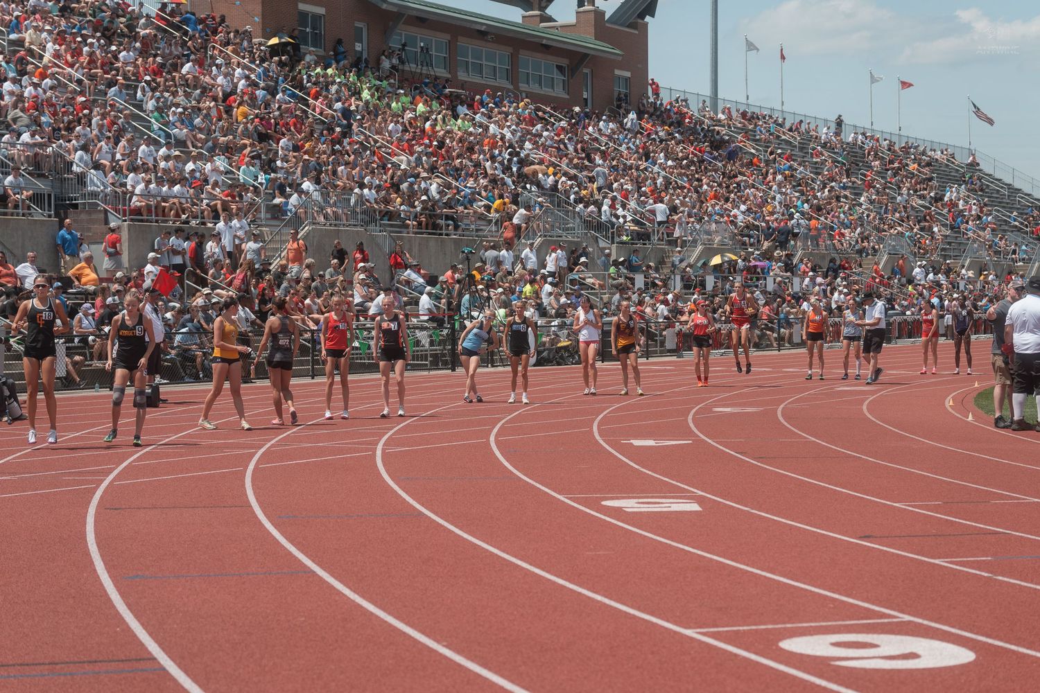 Large crowd watches female track athletes compete in race on red outdoor stadium track on sunny day.