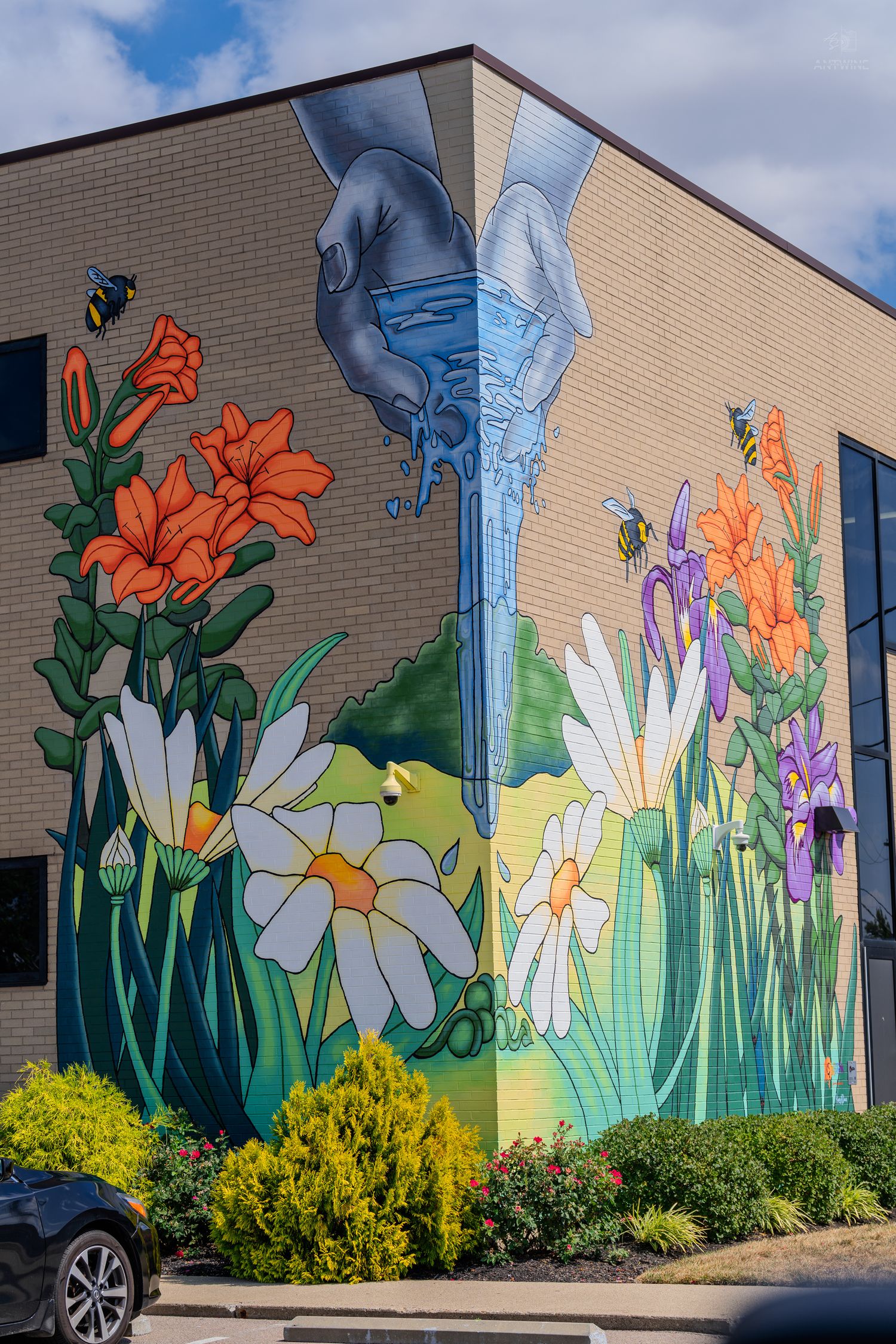 Vibrant floral mural on brick building corner featuring daisies, orange lilies, bees, and water pouring hands street art.