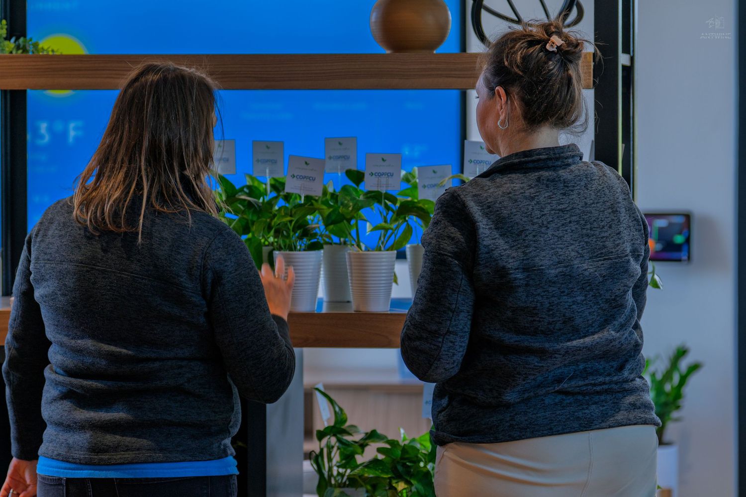 Two women in gray jackets examine potted herbs on a shelf display near a bright window indoors.