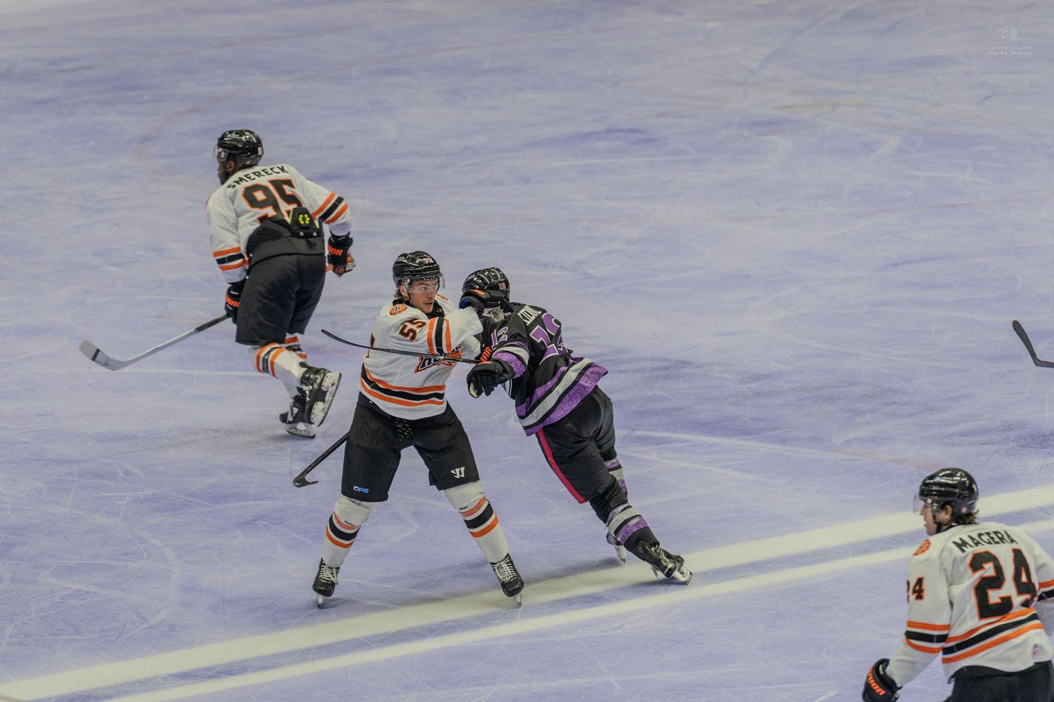 Ice hockey players from opposing teams battle for puck position during competitive game action.