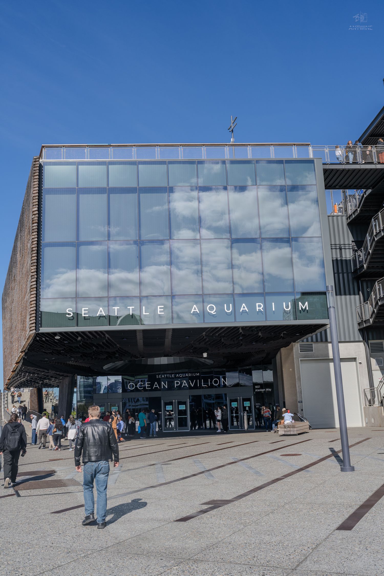 Seattle Aquarium Ocean Pavilion entrance with glass facade reflecting blue sky and clouds.