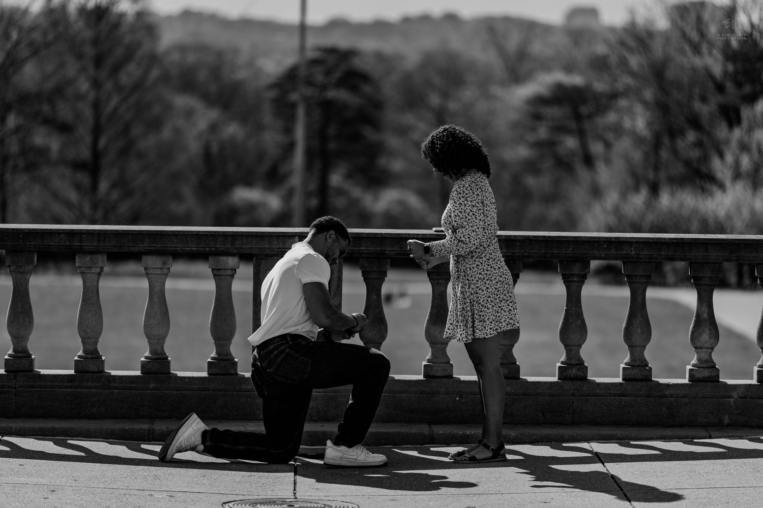 Black and white photo of a man on one knee proposing to a woman on a scenic bridge balustrade.
