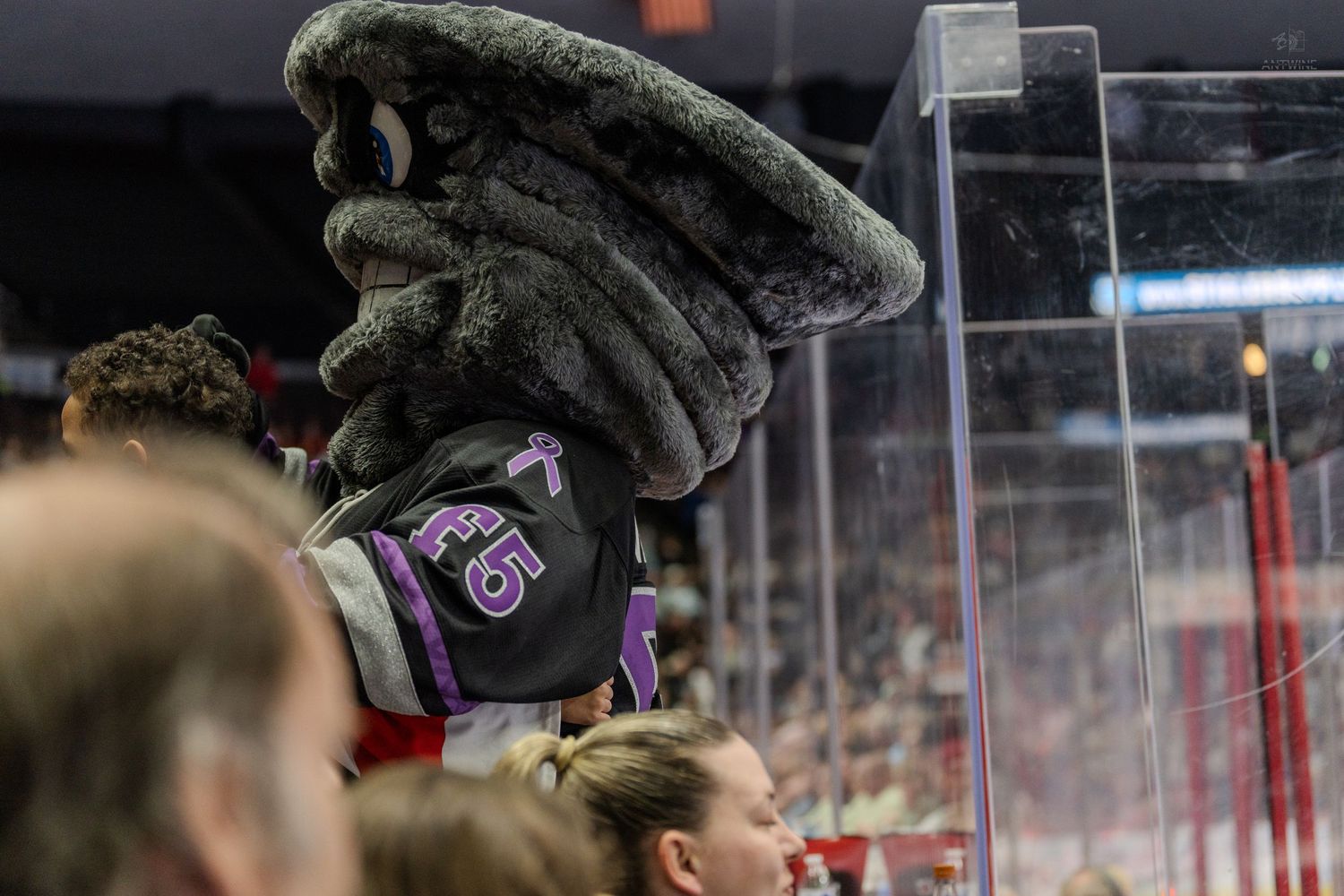 A gray furry hockey mascot wearing a black and purple jersey stands among fans at an indoor hockey arena.