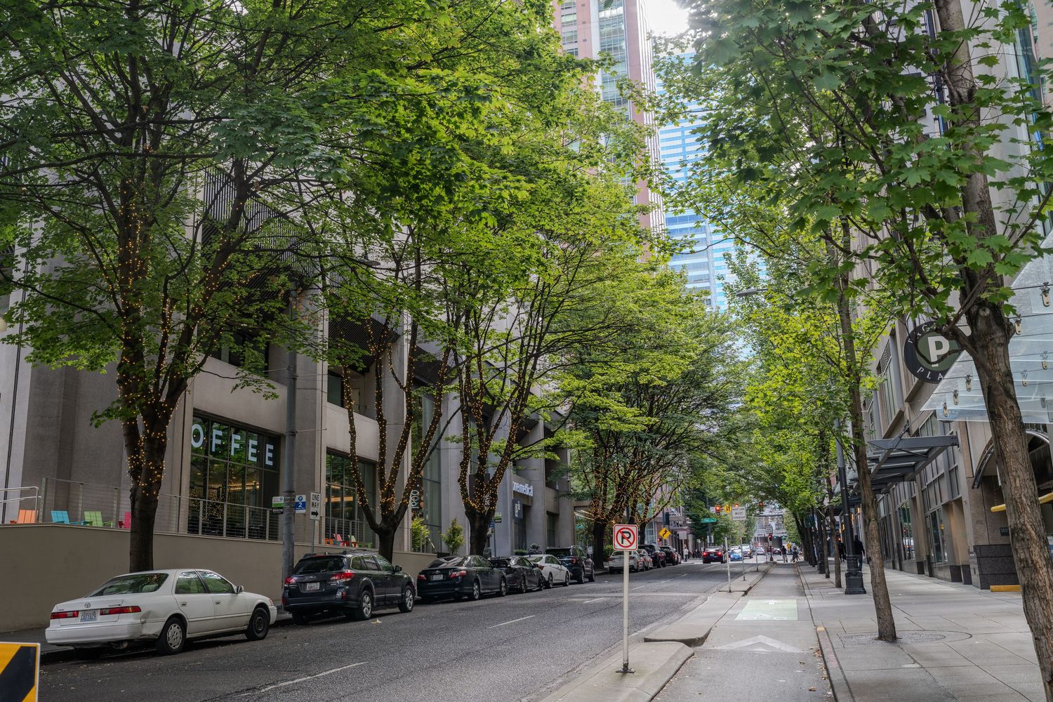 Tree-lined downtown Seattle street with parked cars, concrete buildings, and pedestrians on a quiet urban sidewalk.