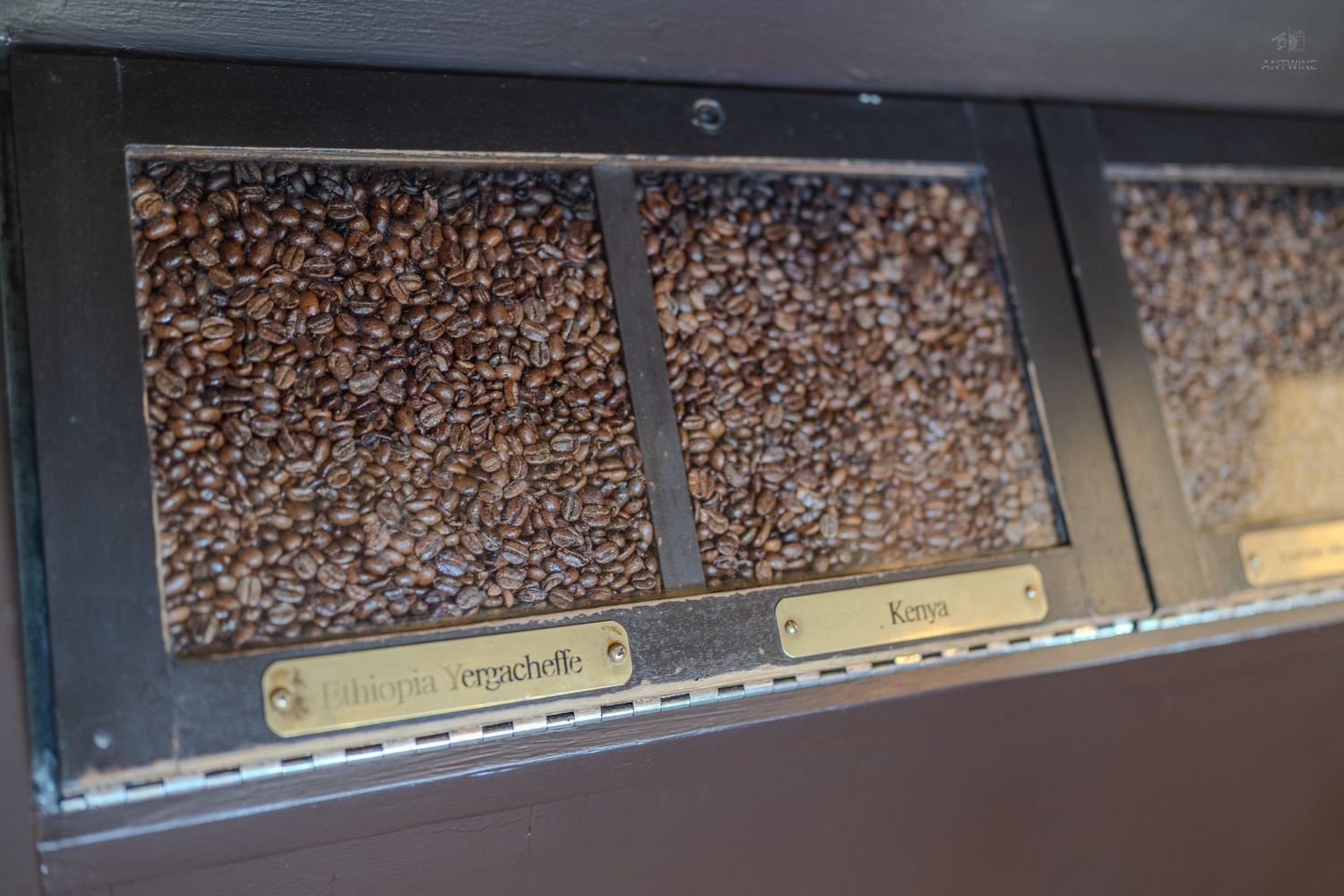 Close-up of roasted coffee beans displayed in labeled metal bins at a specialty coffee shop.