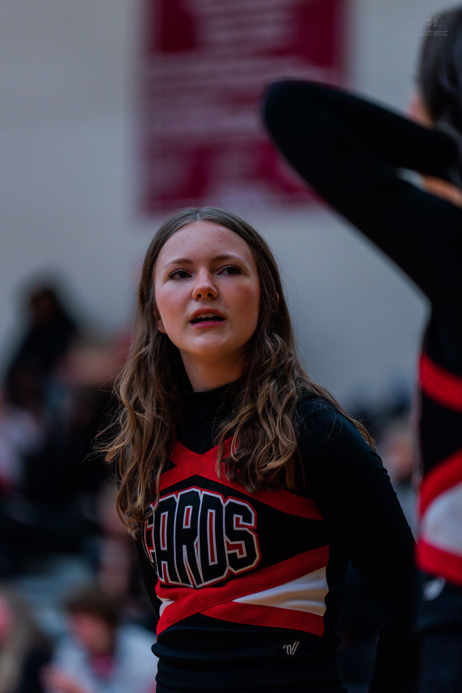 Young cheerleader in red and black Cardinals uniform performs during a high school basketball game.