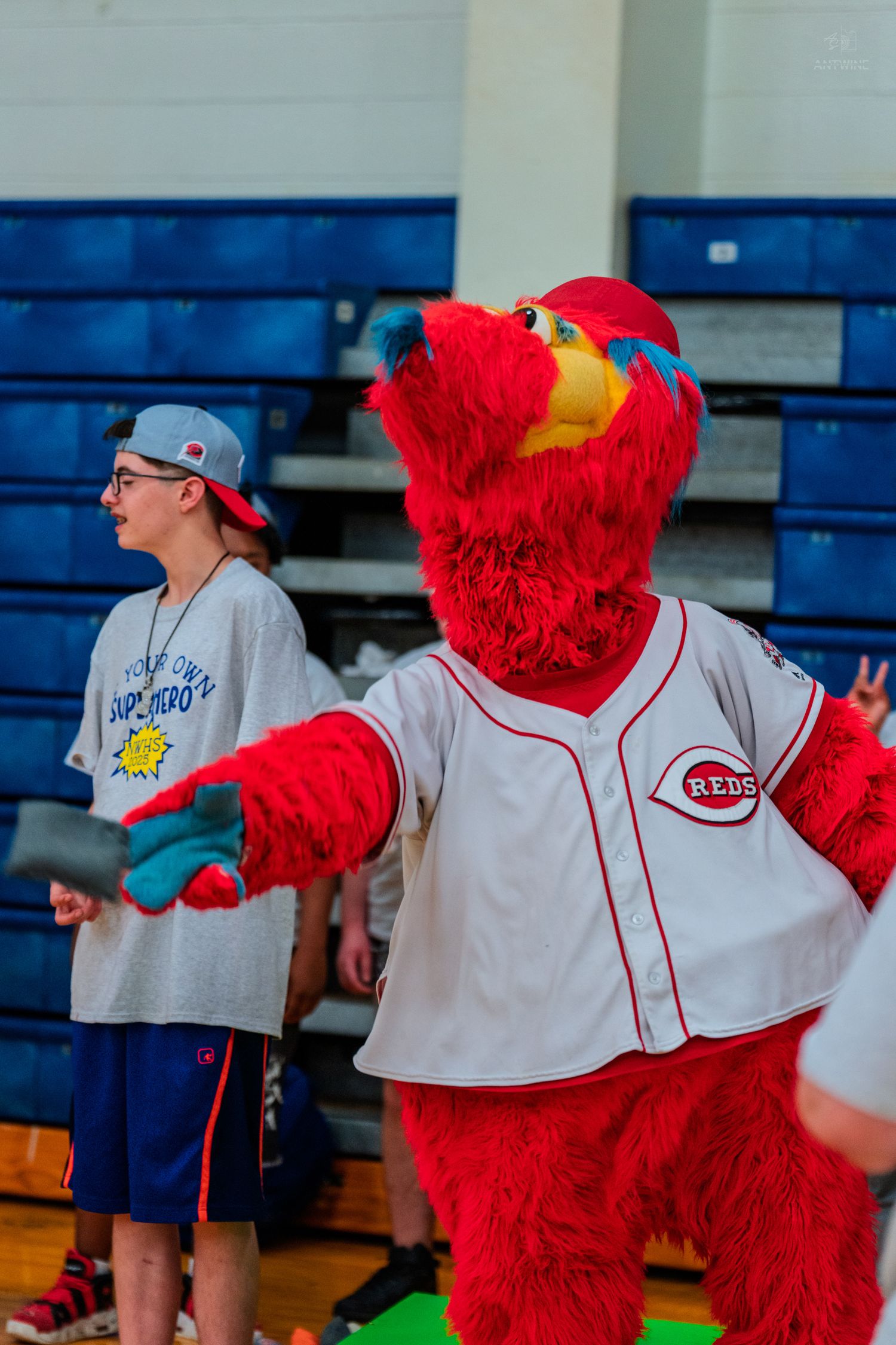 Cincinnati Reds mascot Gapper in red furry costume and Reds jersey interacts with kids in a school gymnasium.
