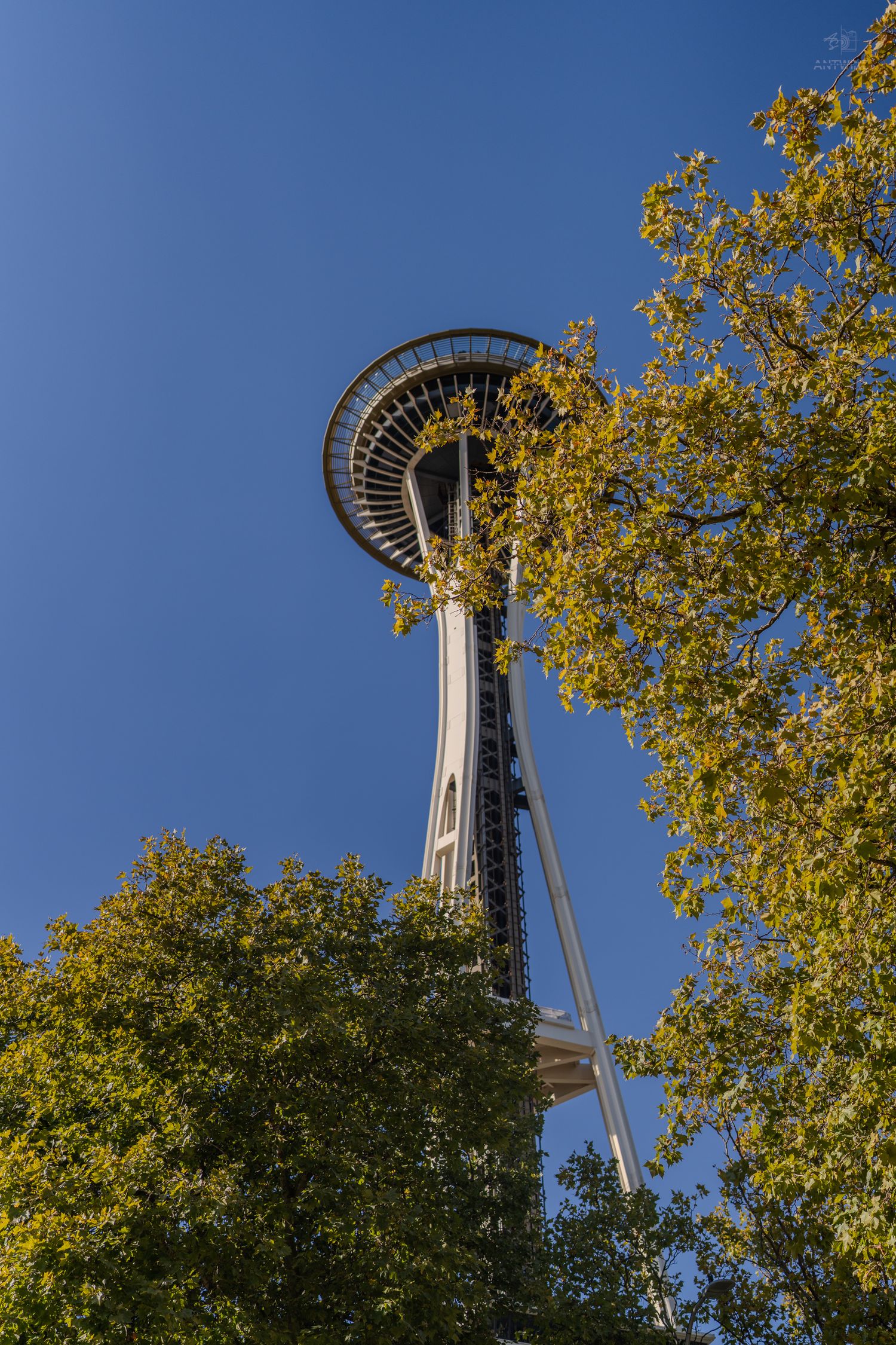 Seattle Space Needle framed by autumn yellow-green trees against a bright blue sky.