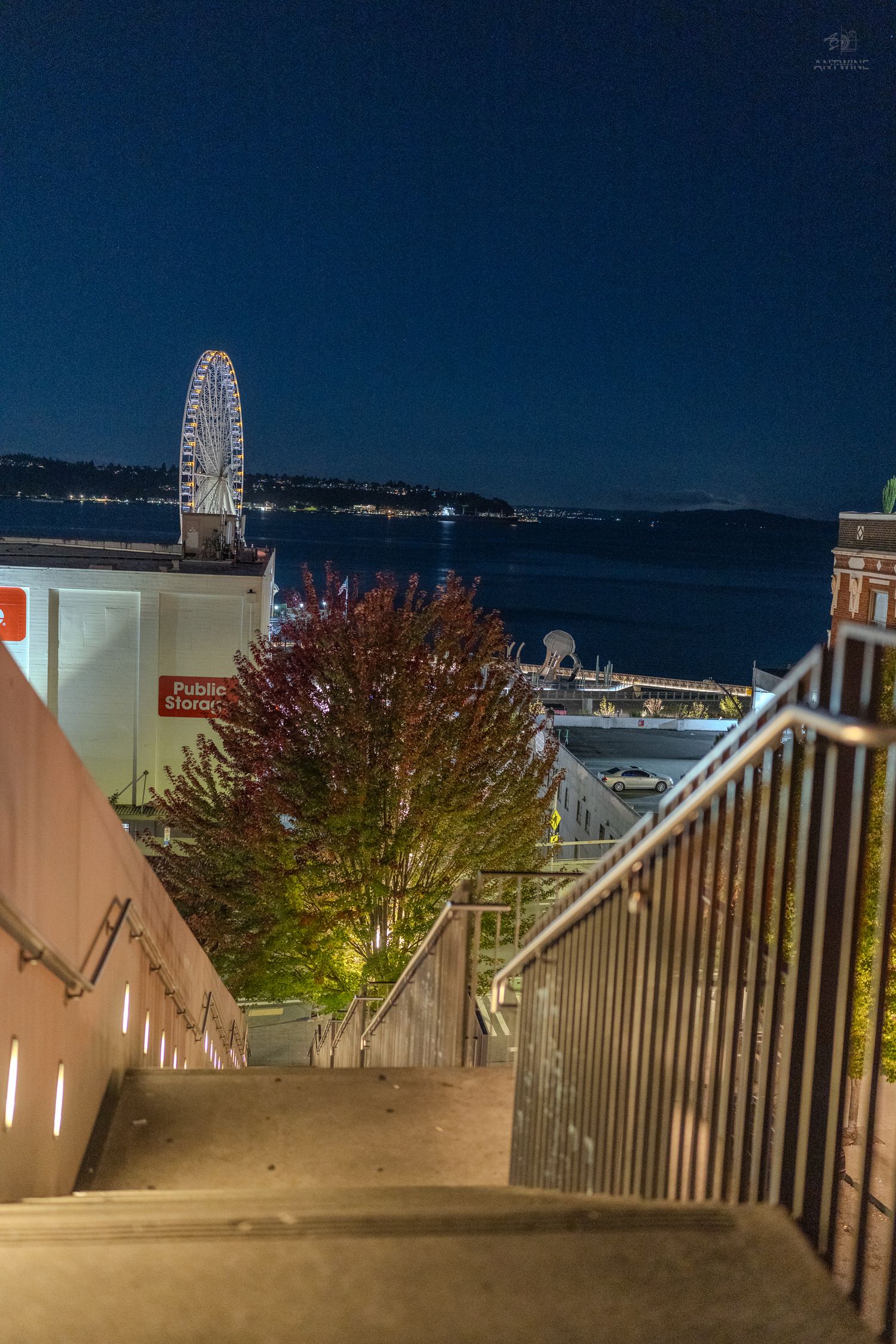 Night view of Seattle waterfront with illuminated Great Wheel ferris wheel, tree, and Puget Sound visible from staircase.