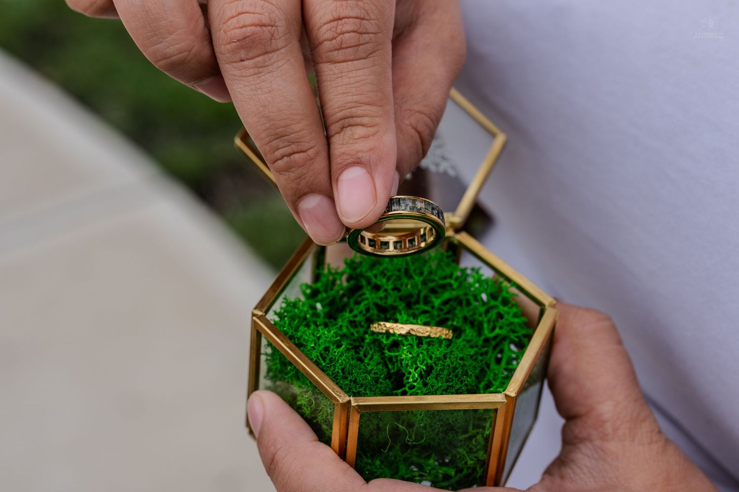 Hands holding a gold hexagonal glass ring box with green moss and two wedding bands inside.