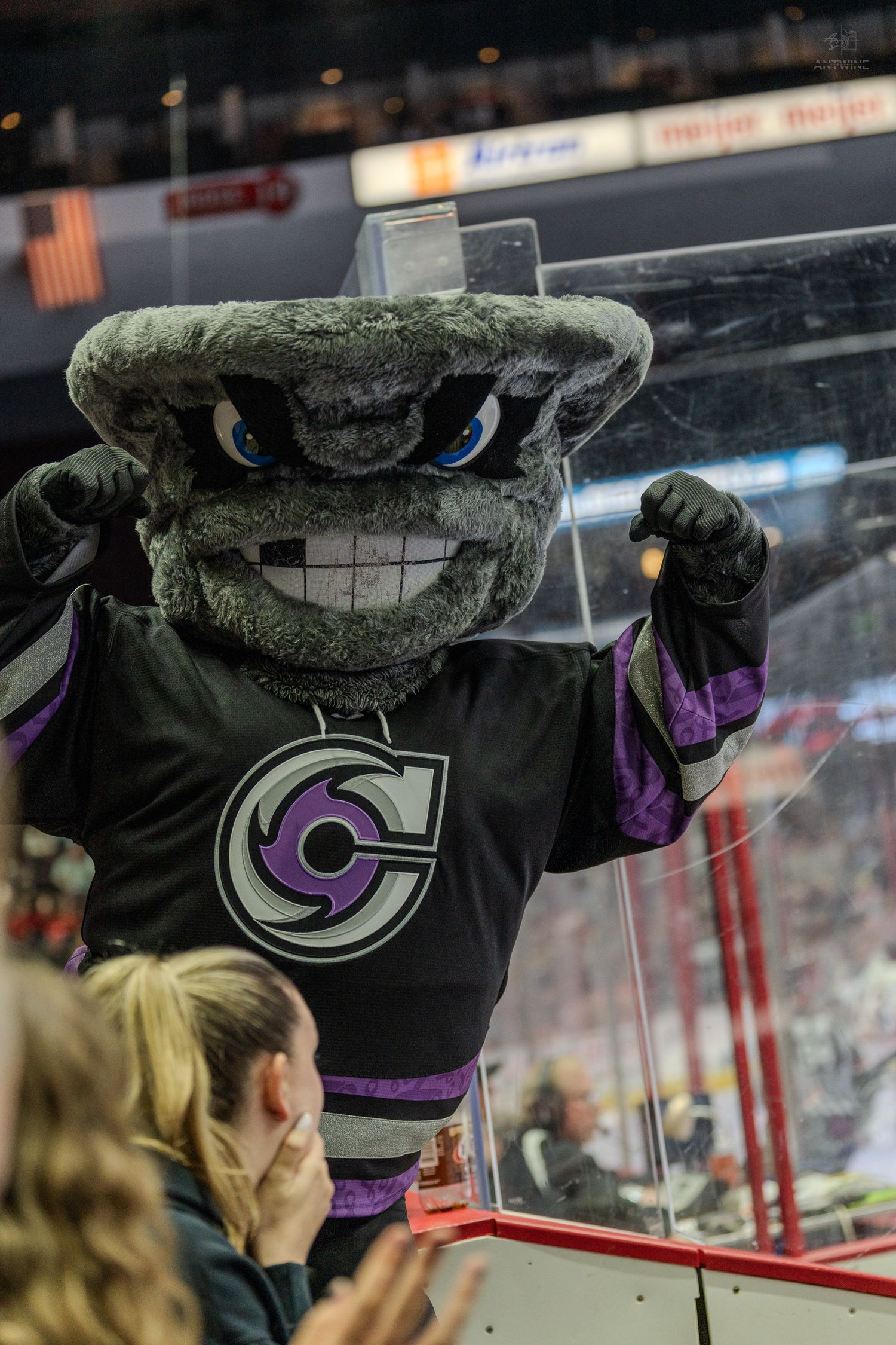 Gray furry hockey mascot in black and purple jersey pumps fists near fans at a hockey game.