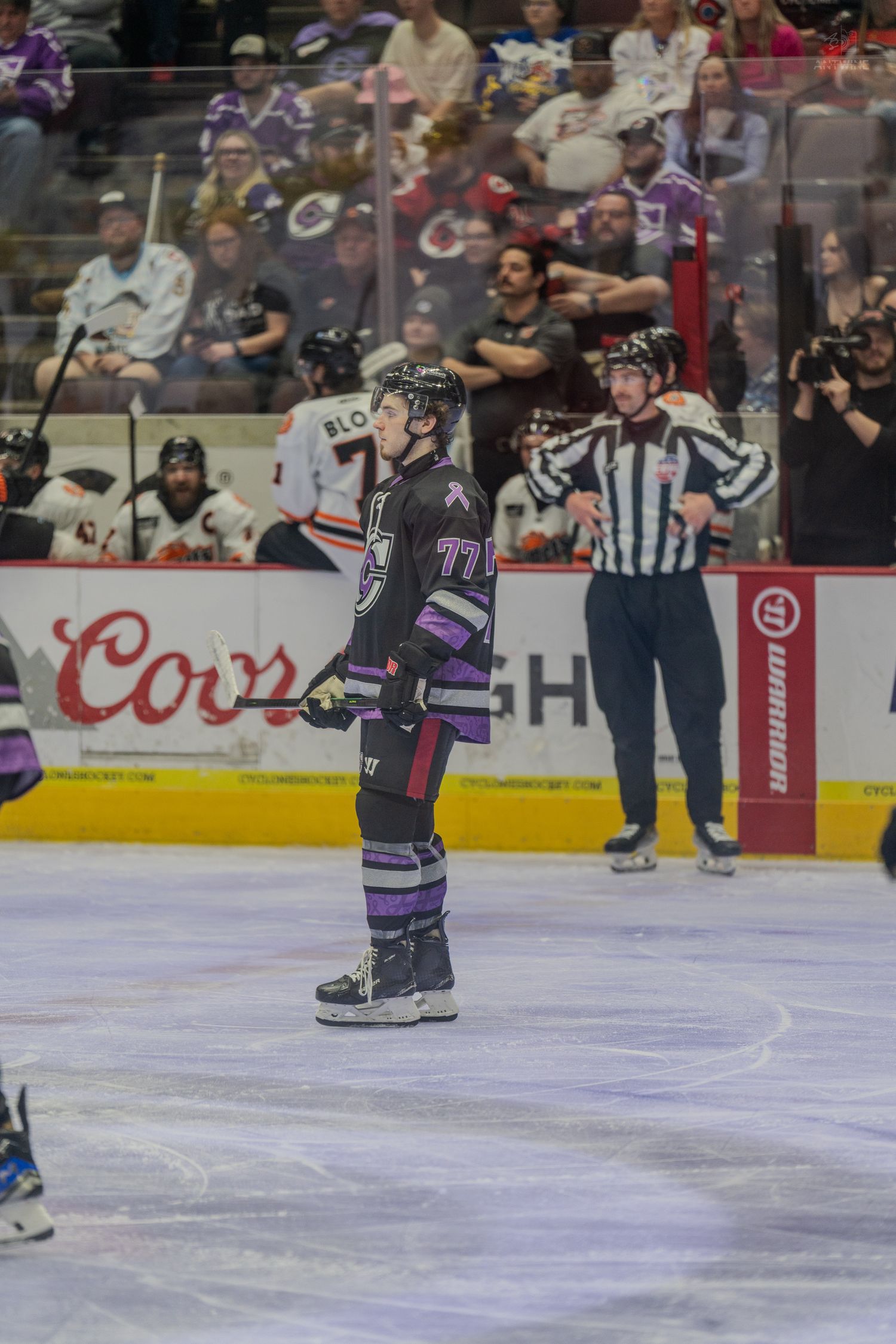 Hockey player #77 in purple uniform stands on ice while a referee watches play during a minor league game.