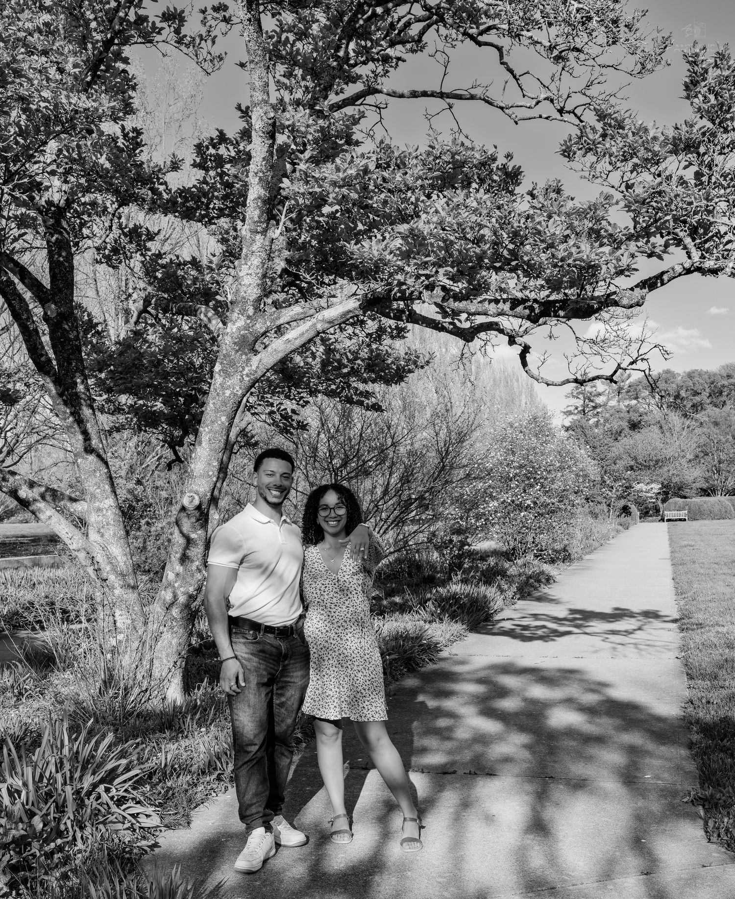 A couple standing close together on a park pathway, smiling under the shade of a large tree.