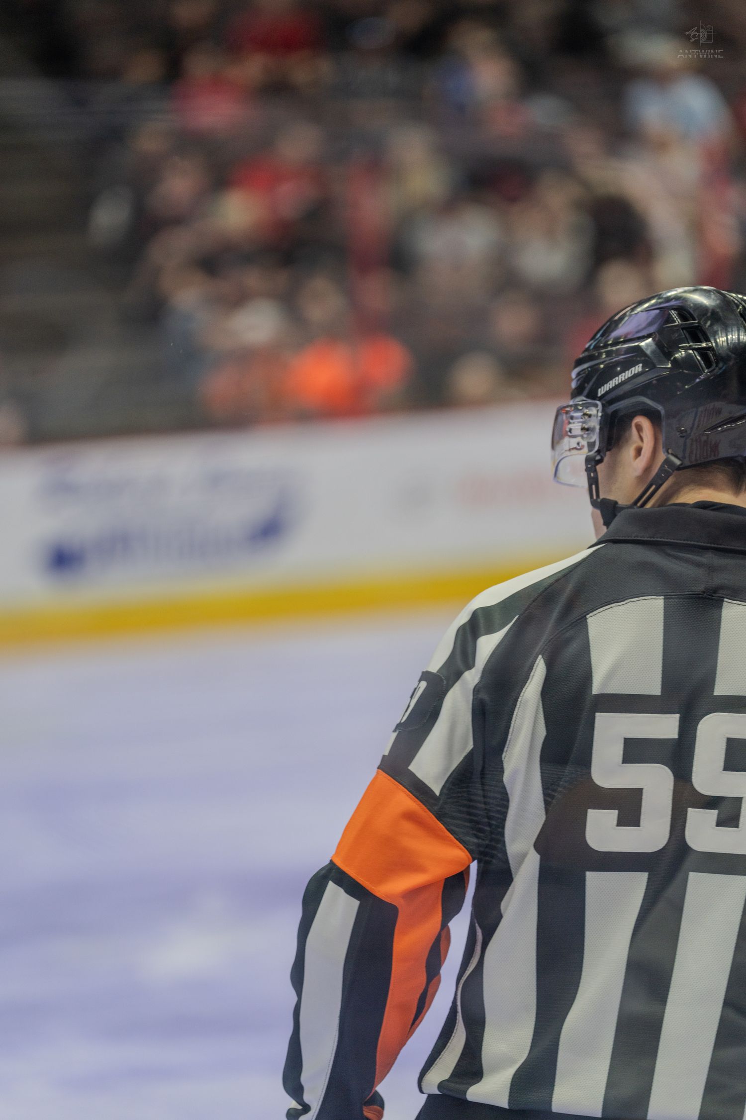 Ice hockey referee #59 in striped jersey stands at rinkside watching play during a minor league hockey game.
