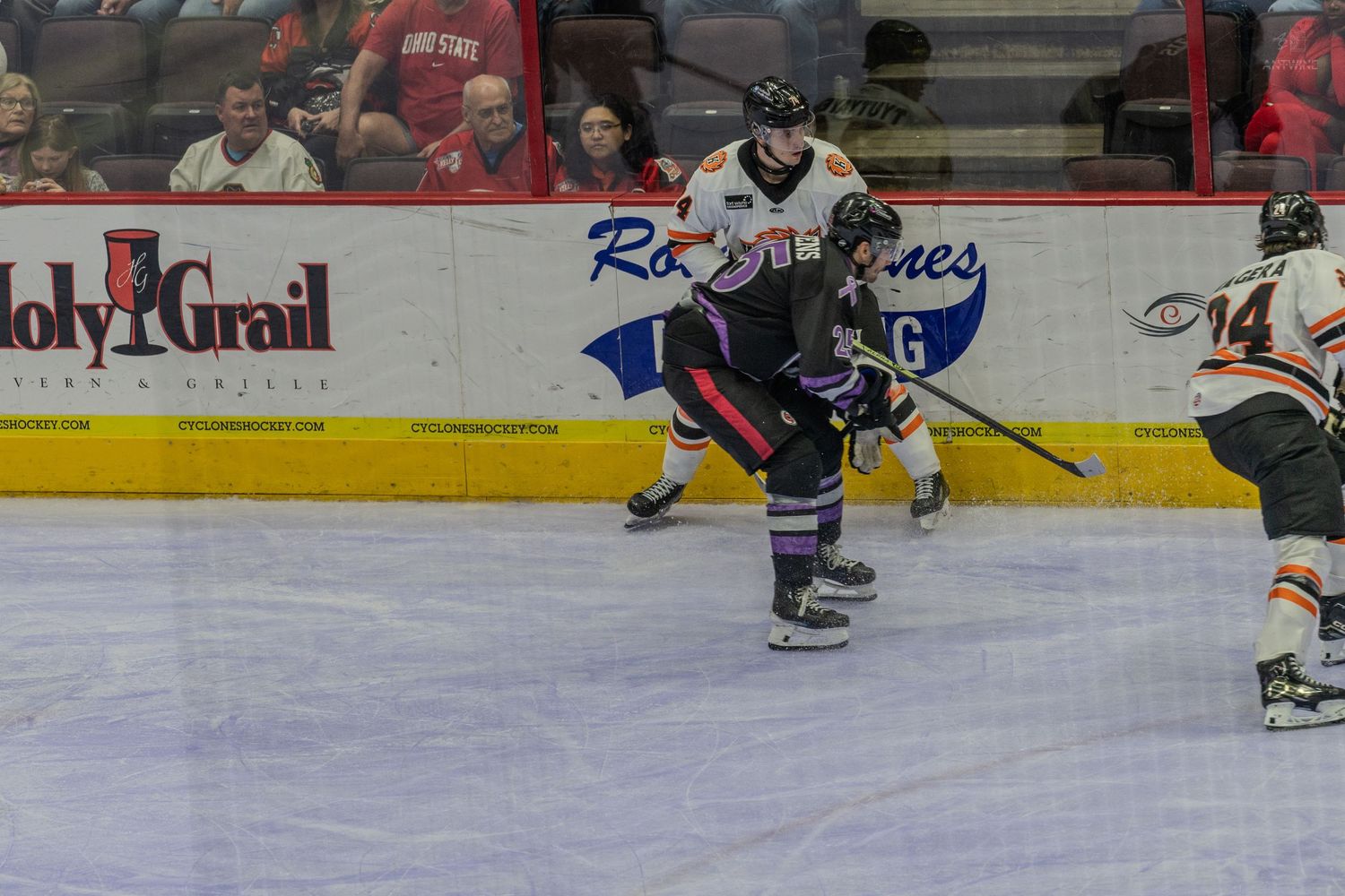 Ice hockey players in purple and orange jerseys compete along boards during indoor professional hockey game.