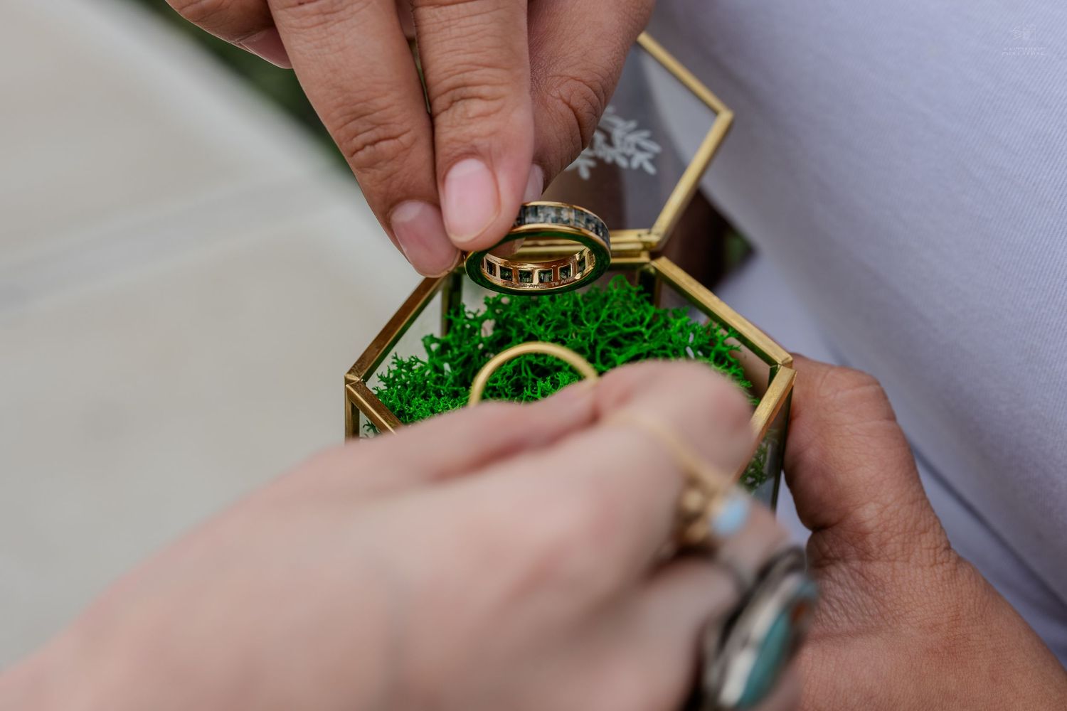 Hands exchanging gold wedding rings over a moss-filled hexagonal glass ring box.