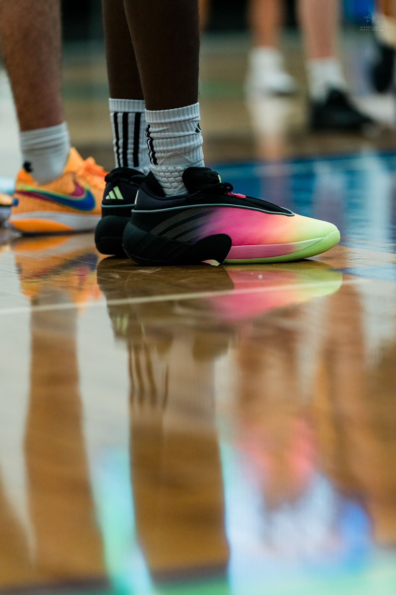 Close-up of colorful Adidas and Nike basketball sneakers on a reflective gym floor.