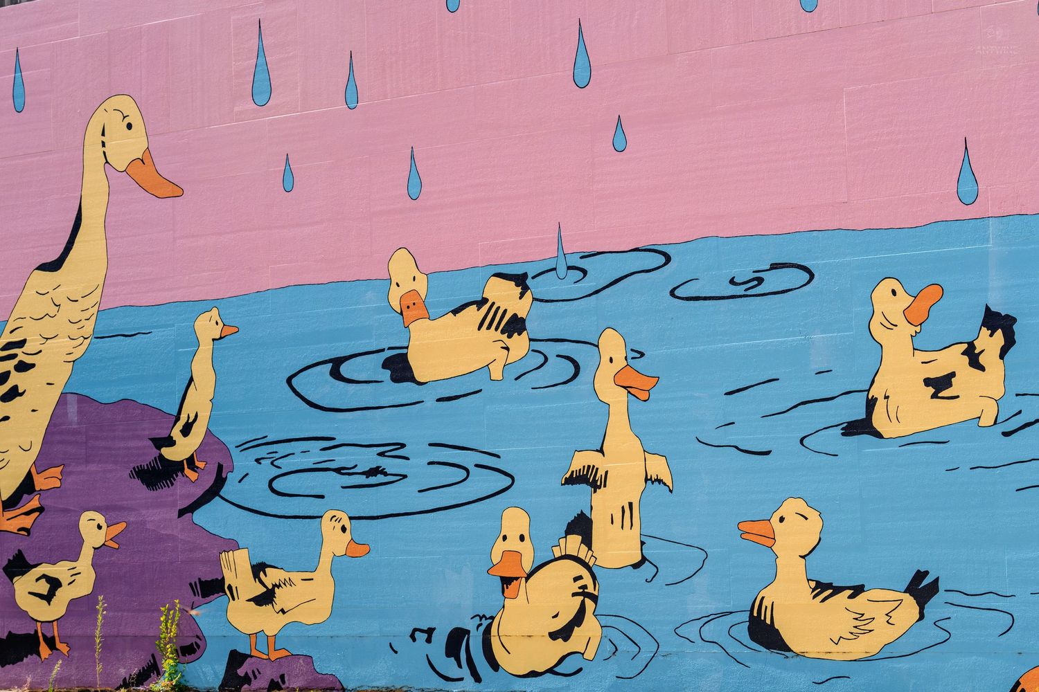 Colorful mural of ducks swimming in blue water under rain drops on a pink and purple background.
