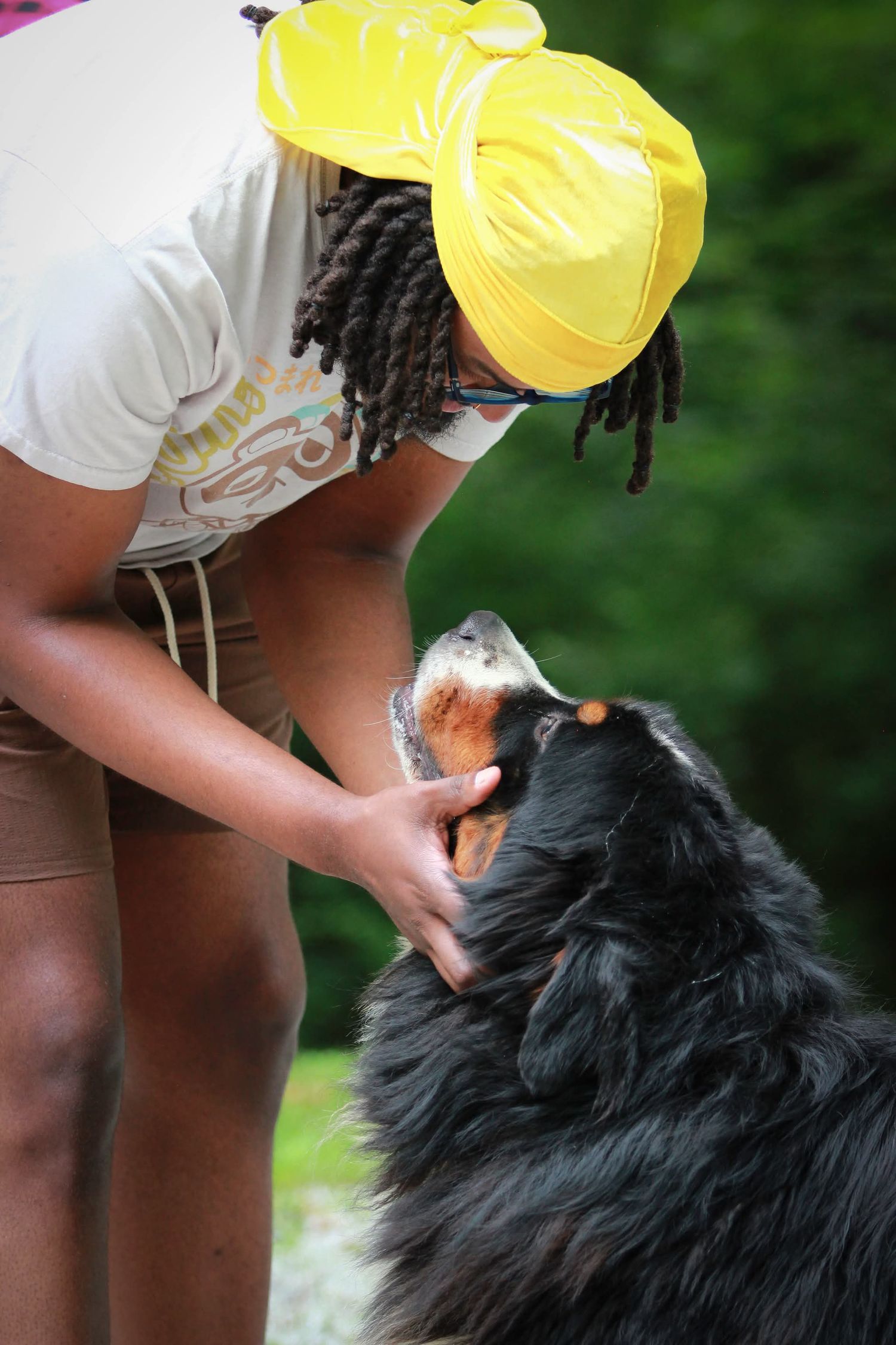A person in a yellow cap gently holds the face of a Bernese Mountain Dog outdoors in a green wooded setting.