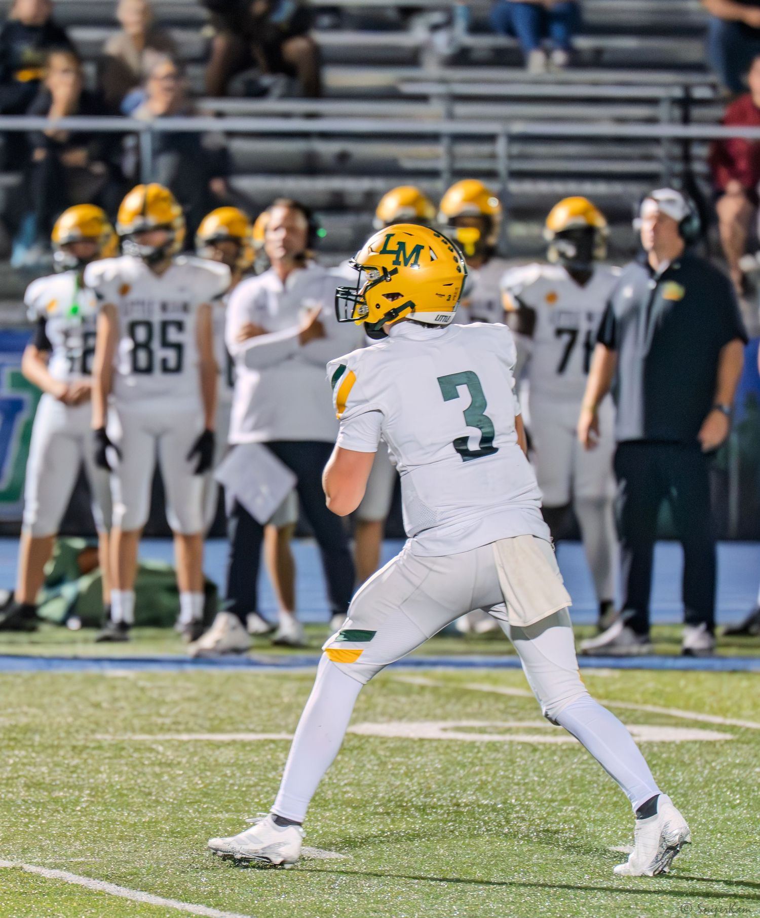 A football player wearing number 3 in gold and white uniform prepares to throw during a high school football game.