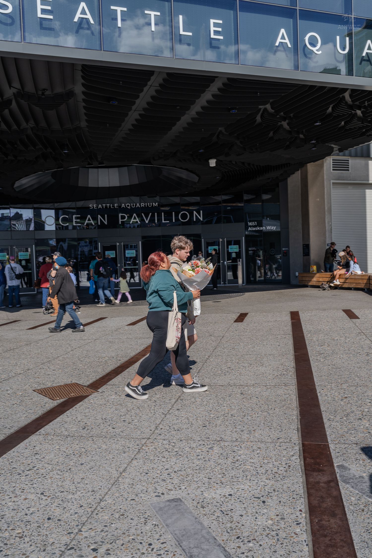 Visitors outside the Seattle Aquarium Ocean Pavilion entrance on a sunny day.