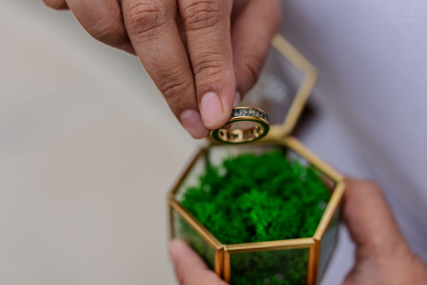 Hands holding a gold wedding ring over a glass geometric box filled with green moss.