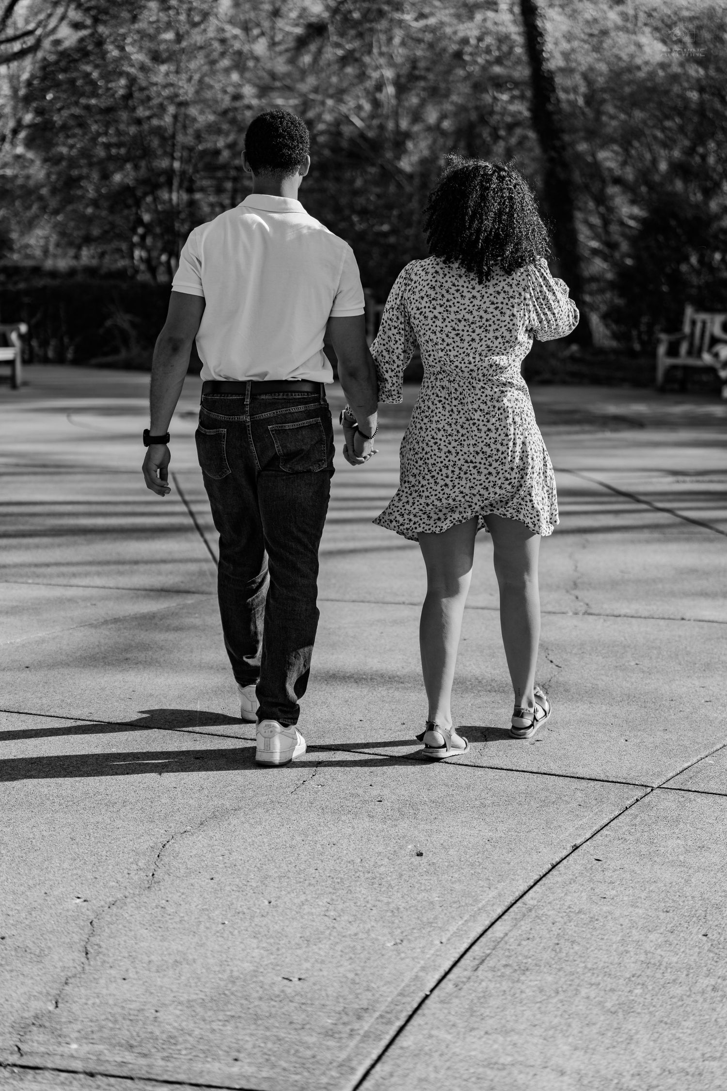 Black and white rear view of a couple holding hands and walking together through a sunny park.