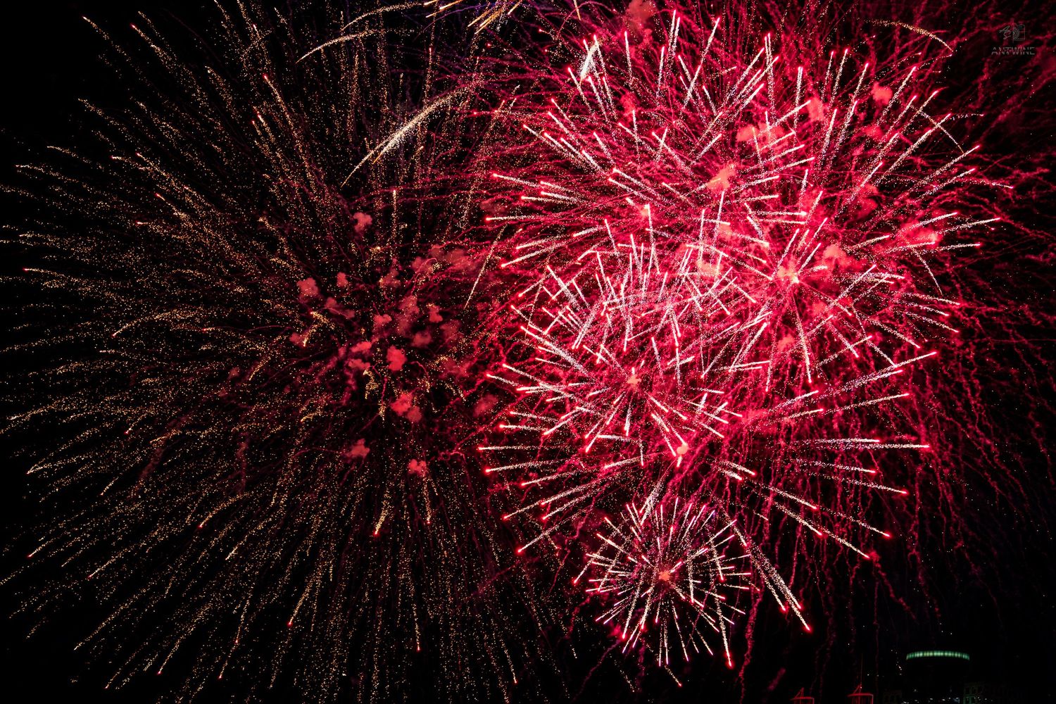 Brilliant red and gold fireworks burst dramatically against a black night sky.